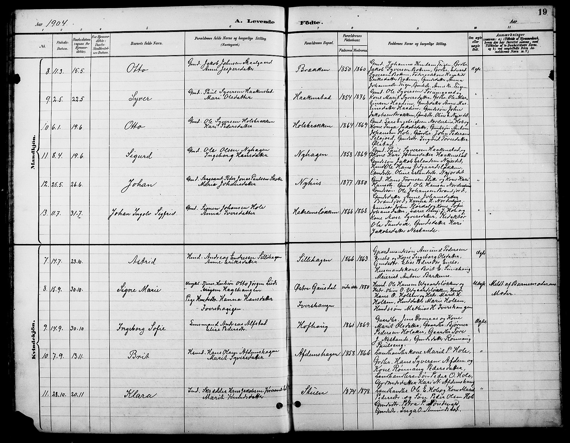 Lesja prestekontor, SAH/PREST-068/H/Ha/Hab/L0007: Parish register (copy) no. 7, 1895-1919, p. 19