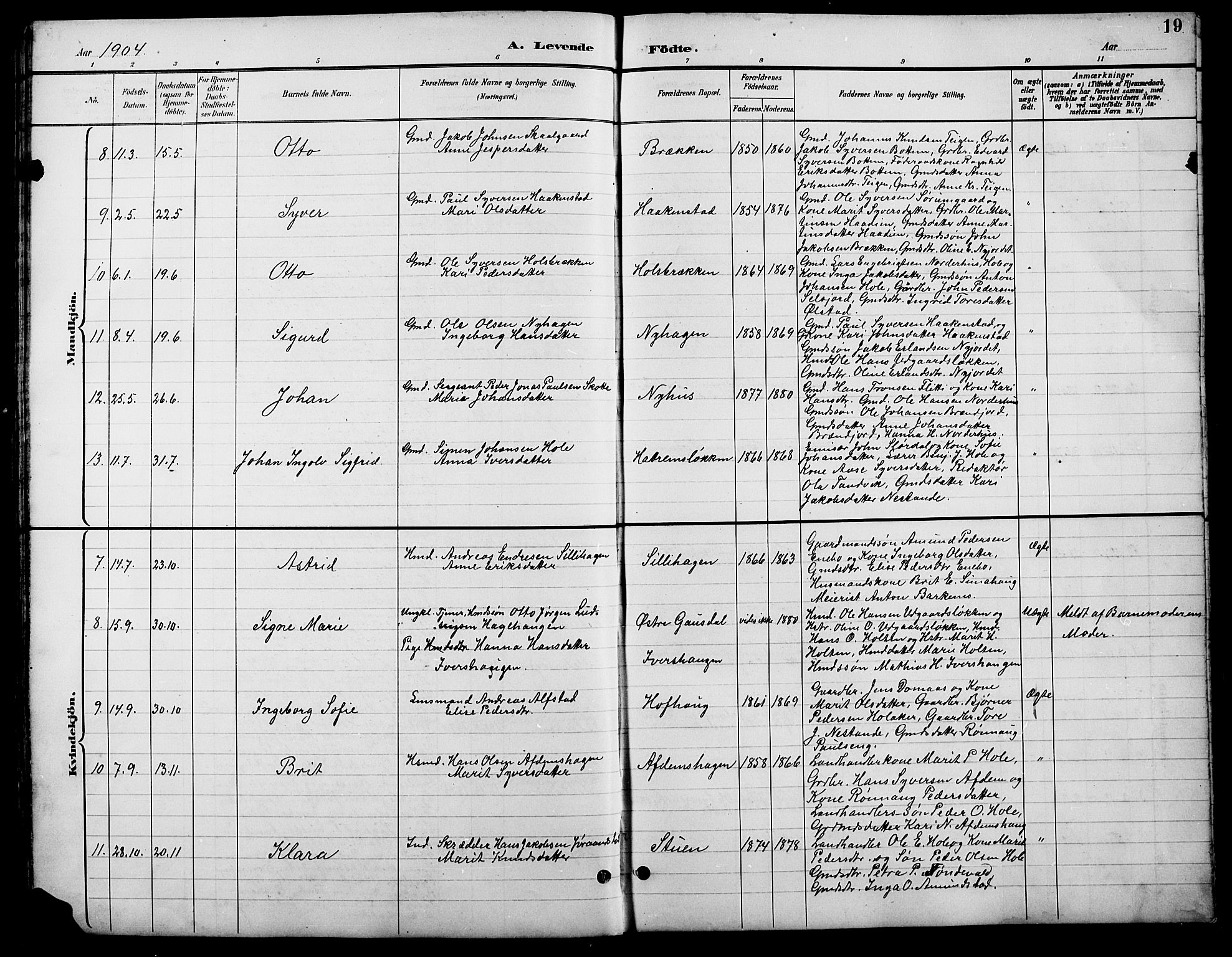 Lesja prestekontor, AV/SAH-PREST-068/H/Ha/Hab/L0007: Parish register (copy) no. 7, 1895-1919, p. 19