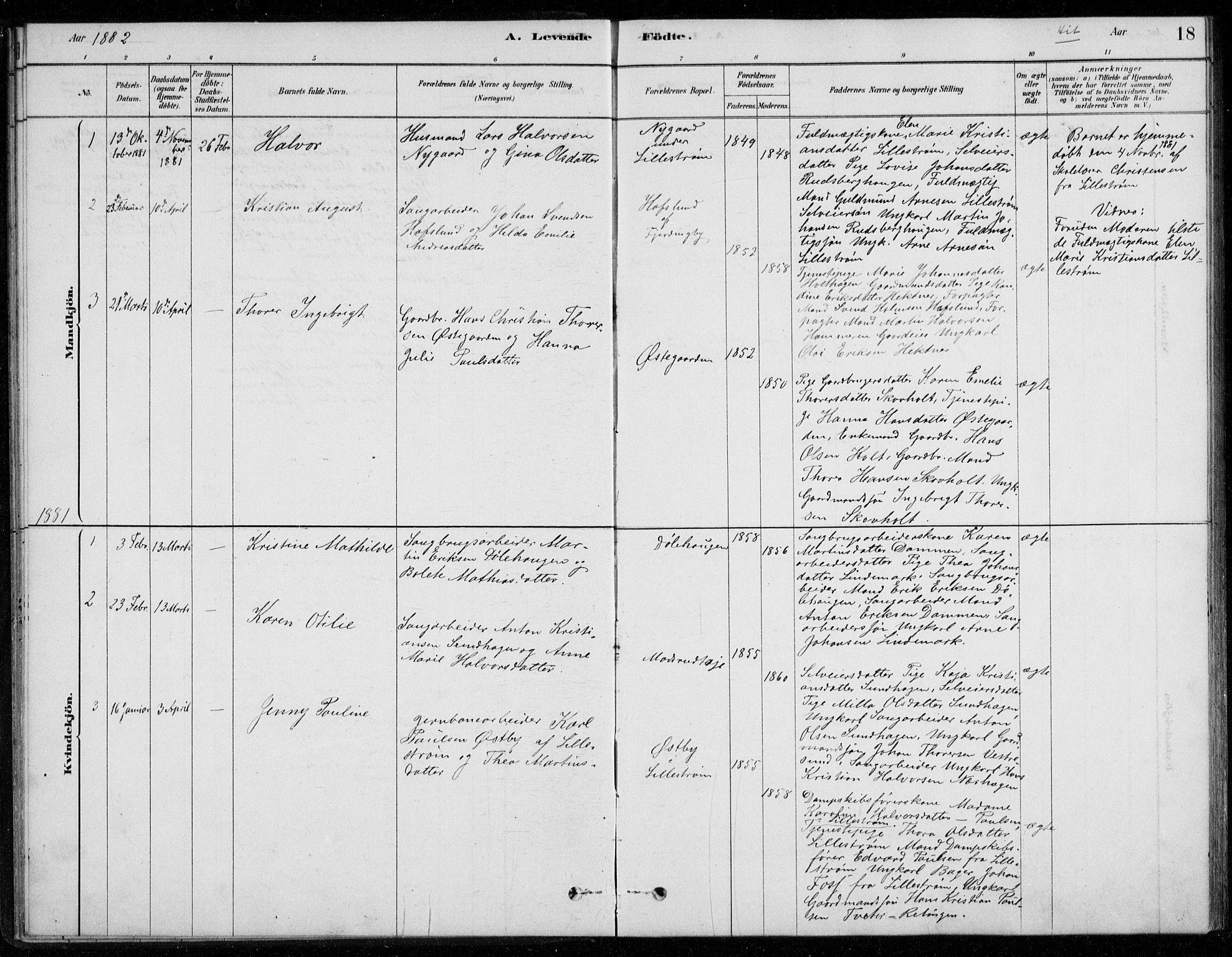 Fet prestekontor Kirkebøker, SAO/A-10370a/G/Gb/L0002: Parish register (copy) no. II 2, 1878-1911, p. 18