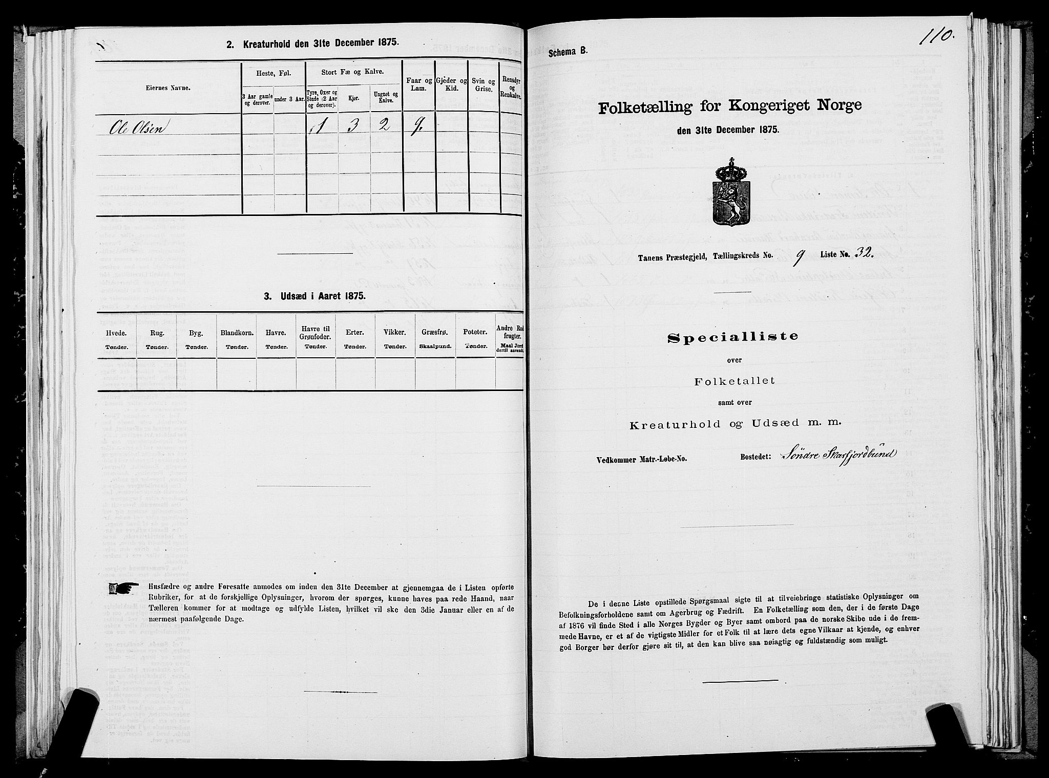SATØ, 1875 census for 2025P Tana, 1875, p. 3110