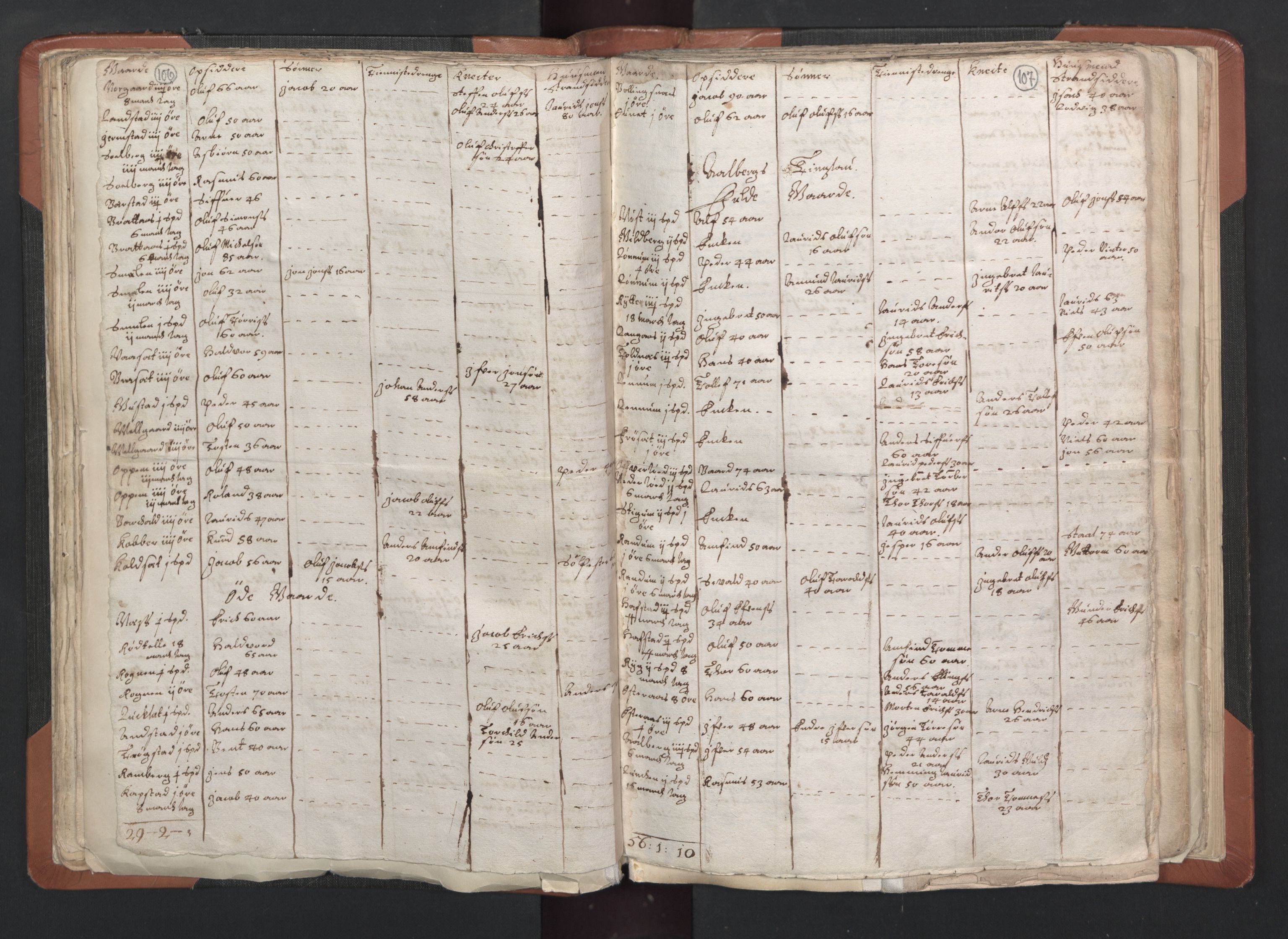 RA, Vicar's Census 1664-1666, no. 33: Innherad deanery, 1664-1666, p. 106-107