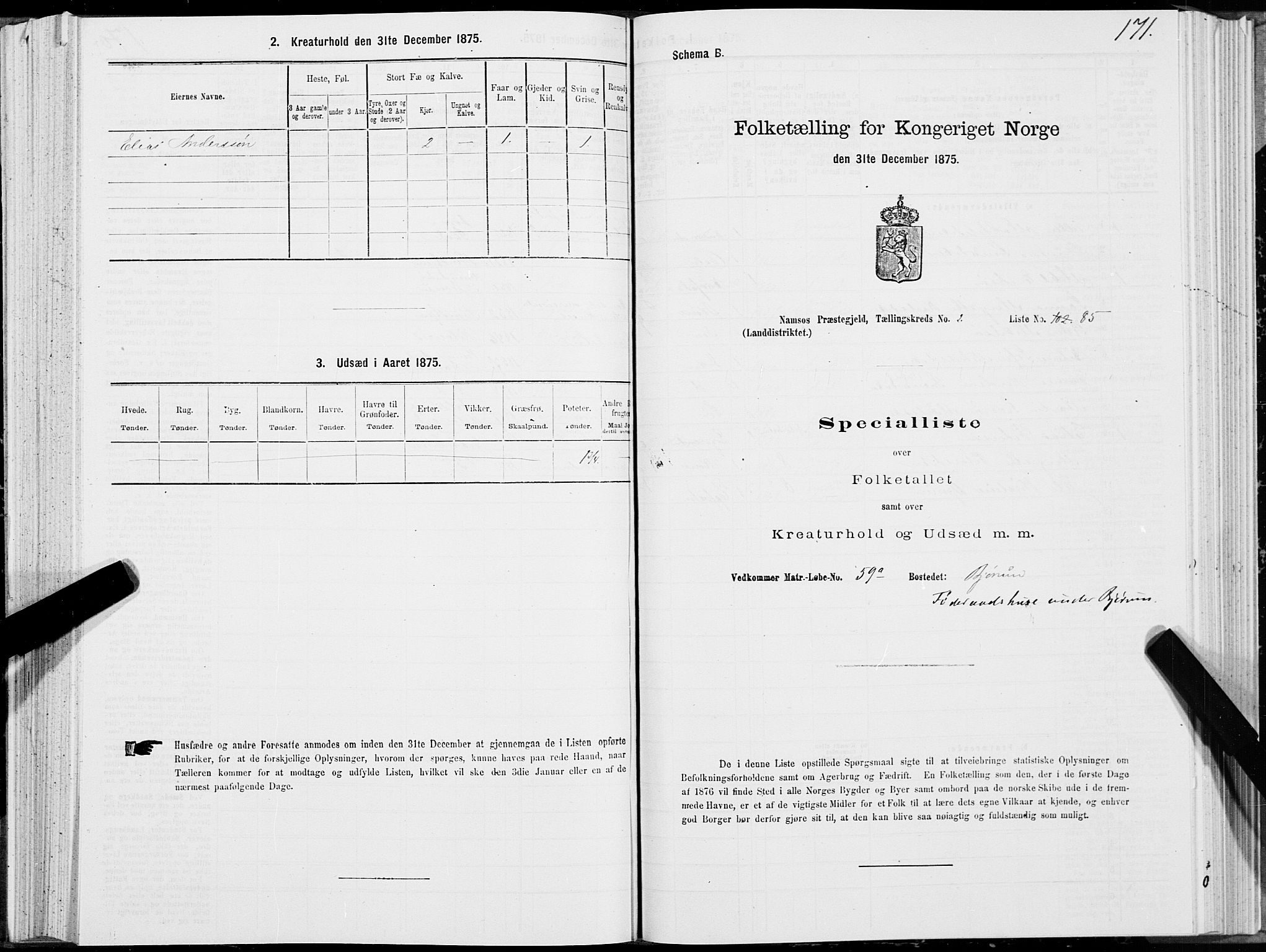 SAT, 1875 census for 1745L Namsos/Vemundvik og Sævik, 1875, p. 2171