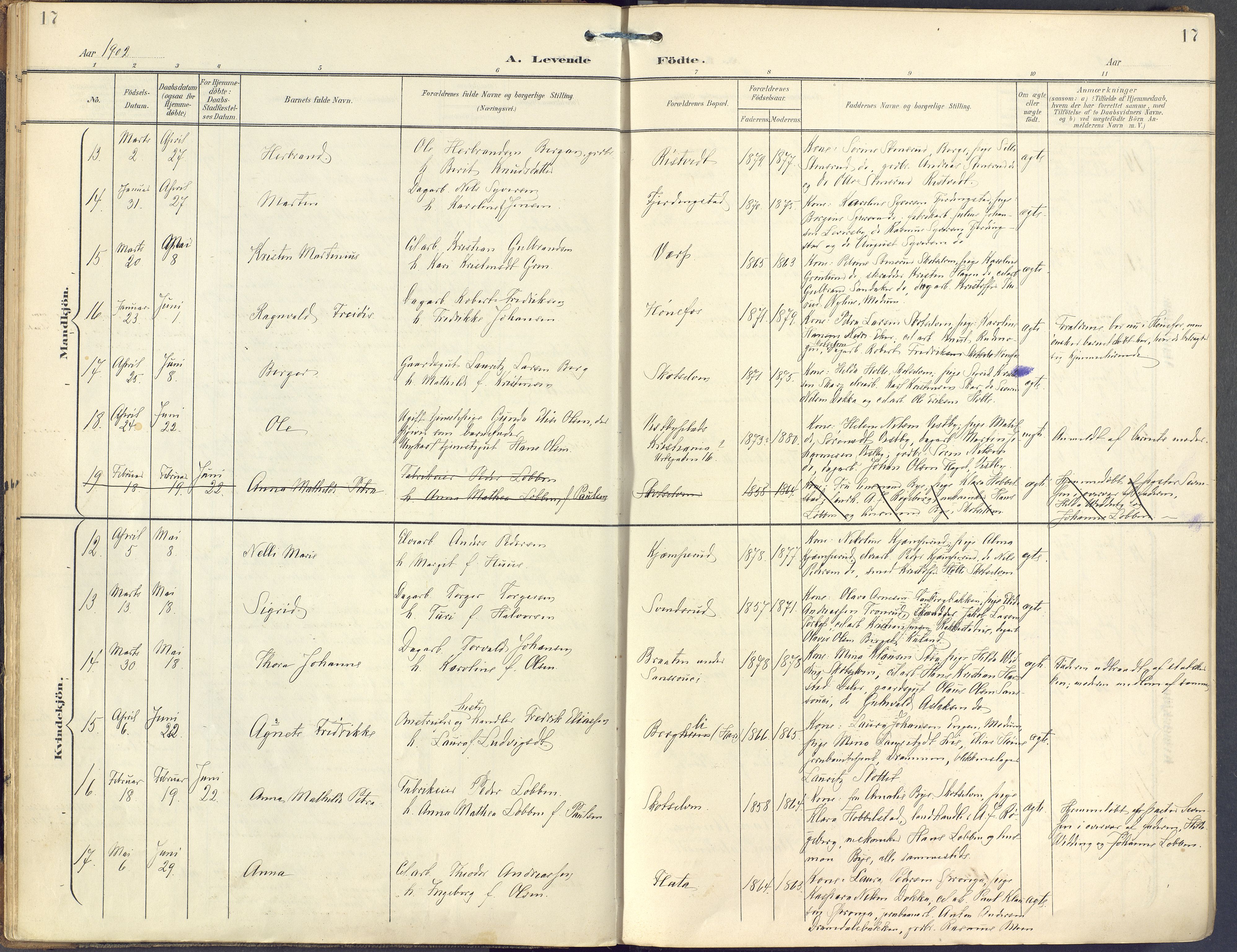 Eiker kirkebøker, AV/SAKO-A-4/F/Fc/L0004: Parish register (official) no. III 4, 1900-1919, p. 17