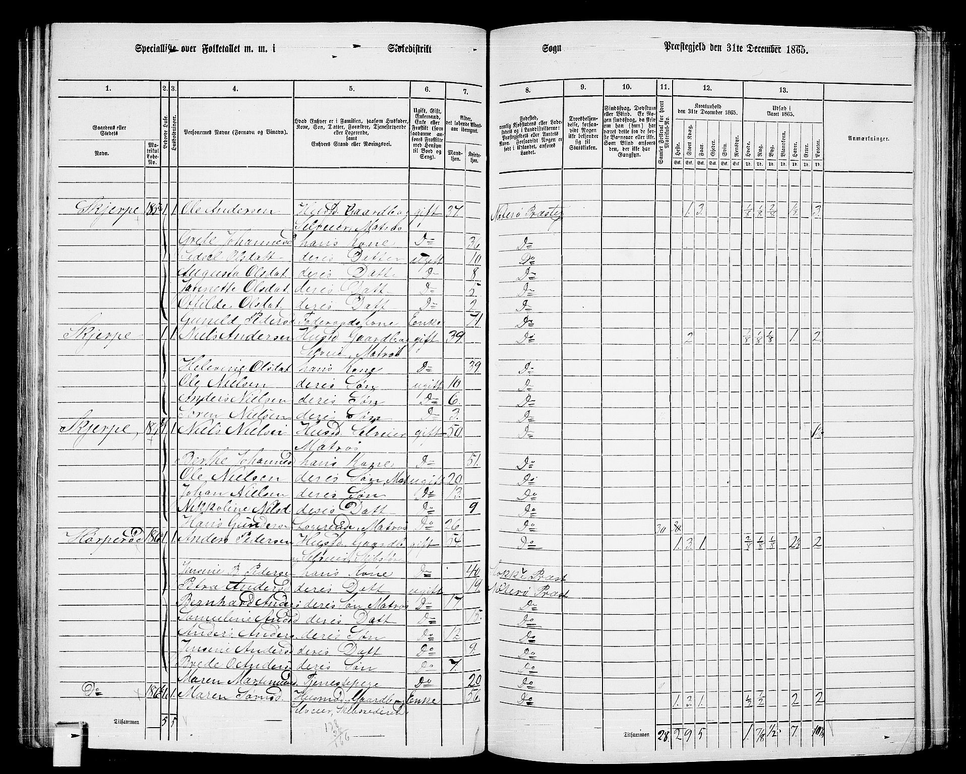 RA, 1865 census for Nøtterøy, 1865, p. 160