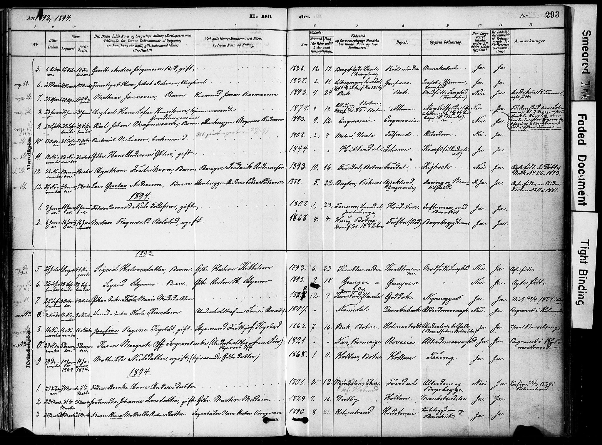 Botne kirkebøker, AV/SAKO-A-340/F/Fa/L0007: Parish register (official) no. I 7, 1878-1910, p. 293