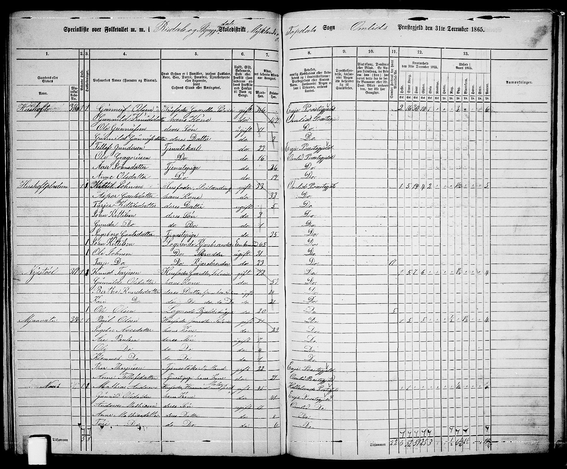 RA, 1865 census for Åmli, 1865, p. 100