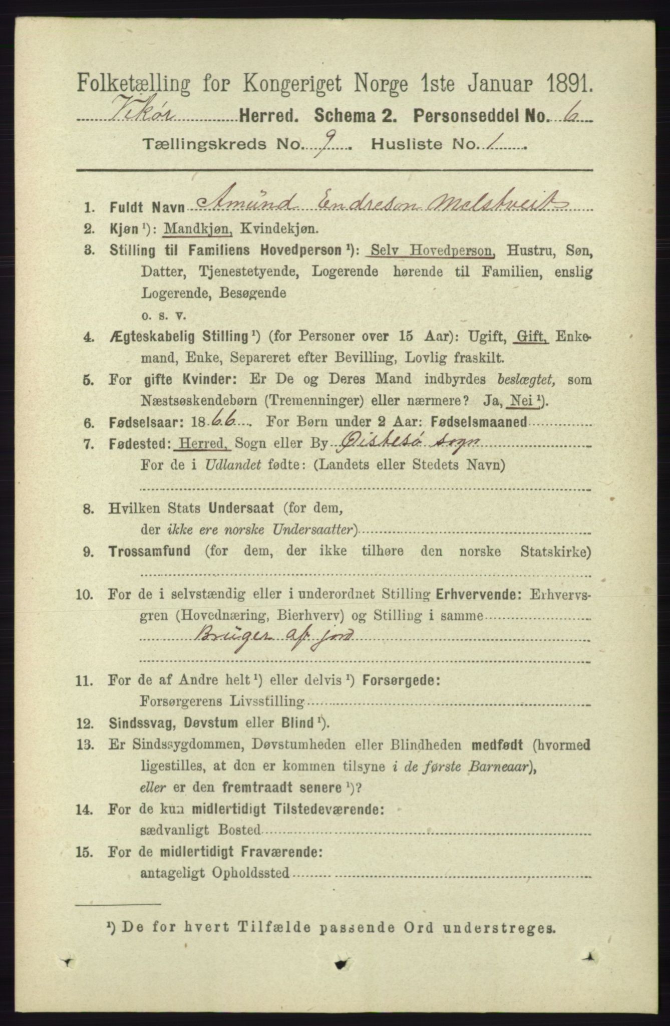 RA, 1891 census for 1238 Vikør, 1891, p. 2664