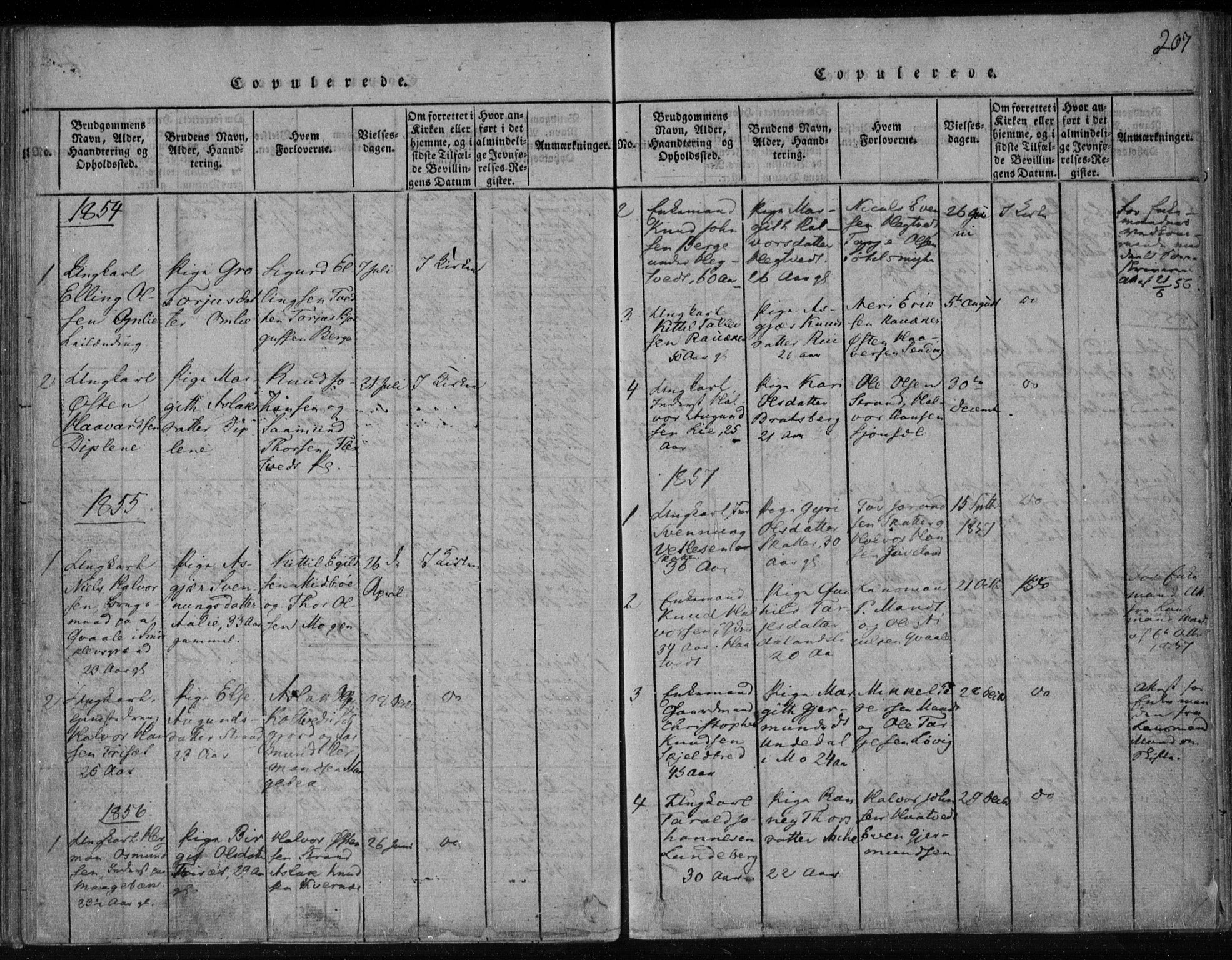 Lårdal kirkebøker, SAKO/A-284/F/Fa/L0005: Parish register (official) no. I 5, 1815-1860, p. 207