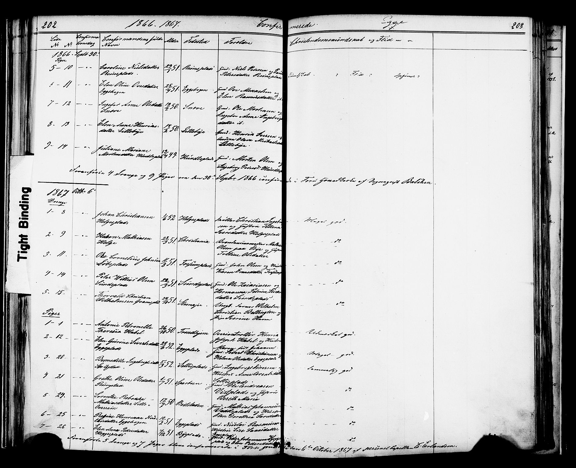 Ministerialprotokoller, klokkerbøker og fødselsregistre - Nord-Trøndelag, AV/SAT-A-1458/739/L0367: Parish register (official) no. 739A01 /3, 1838-1868, p. 202-203