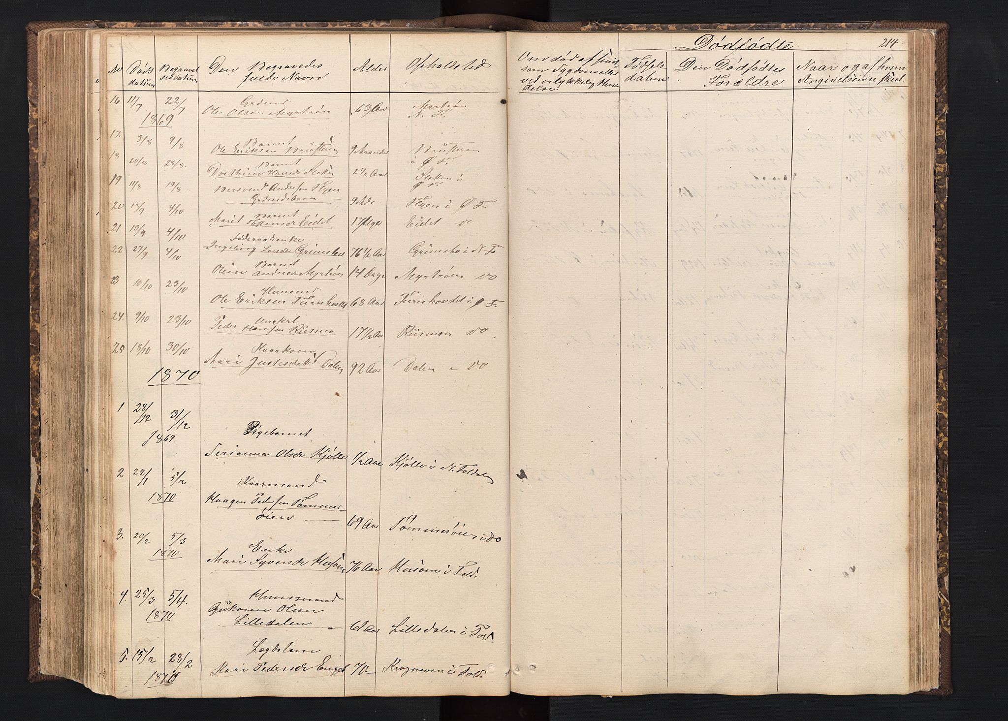 Alvdal prestekontor, SAH/PREST-060/H/Ha/Hab/L0001: Parish register (copy) no. 1, 1857-1893, p. 214