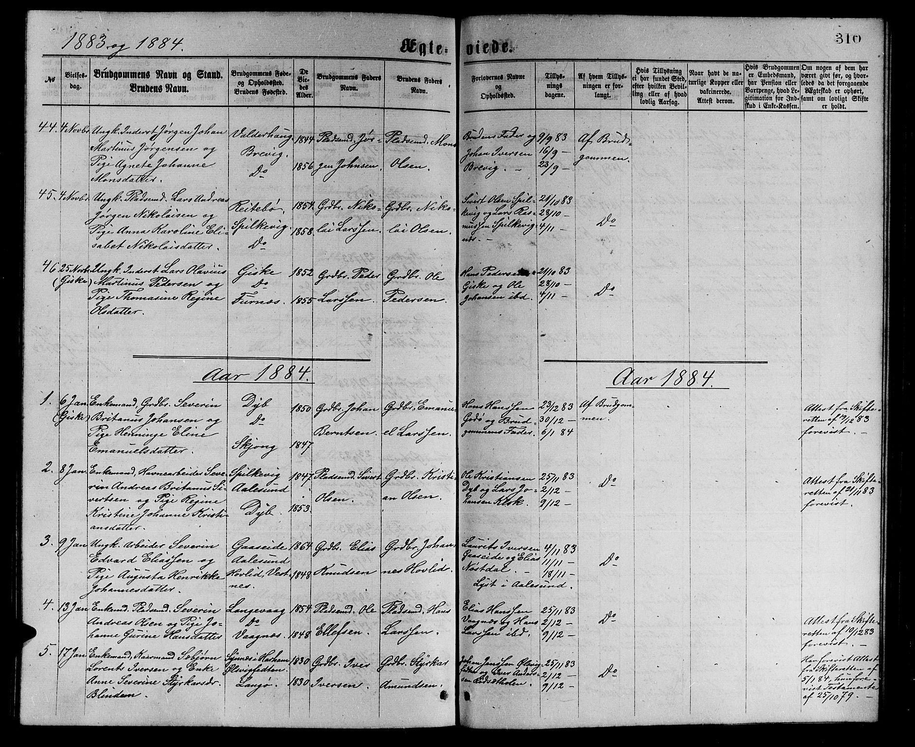 Ministerialprotokoller, klokkerbøker og fødselsregistre - Møre og Romsdal, AV/SAT-A-1454/528/L0429: Parish register (copy) no. 528C10, 1872-1886, p. 310