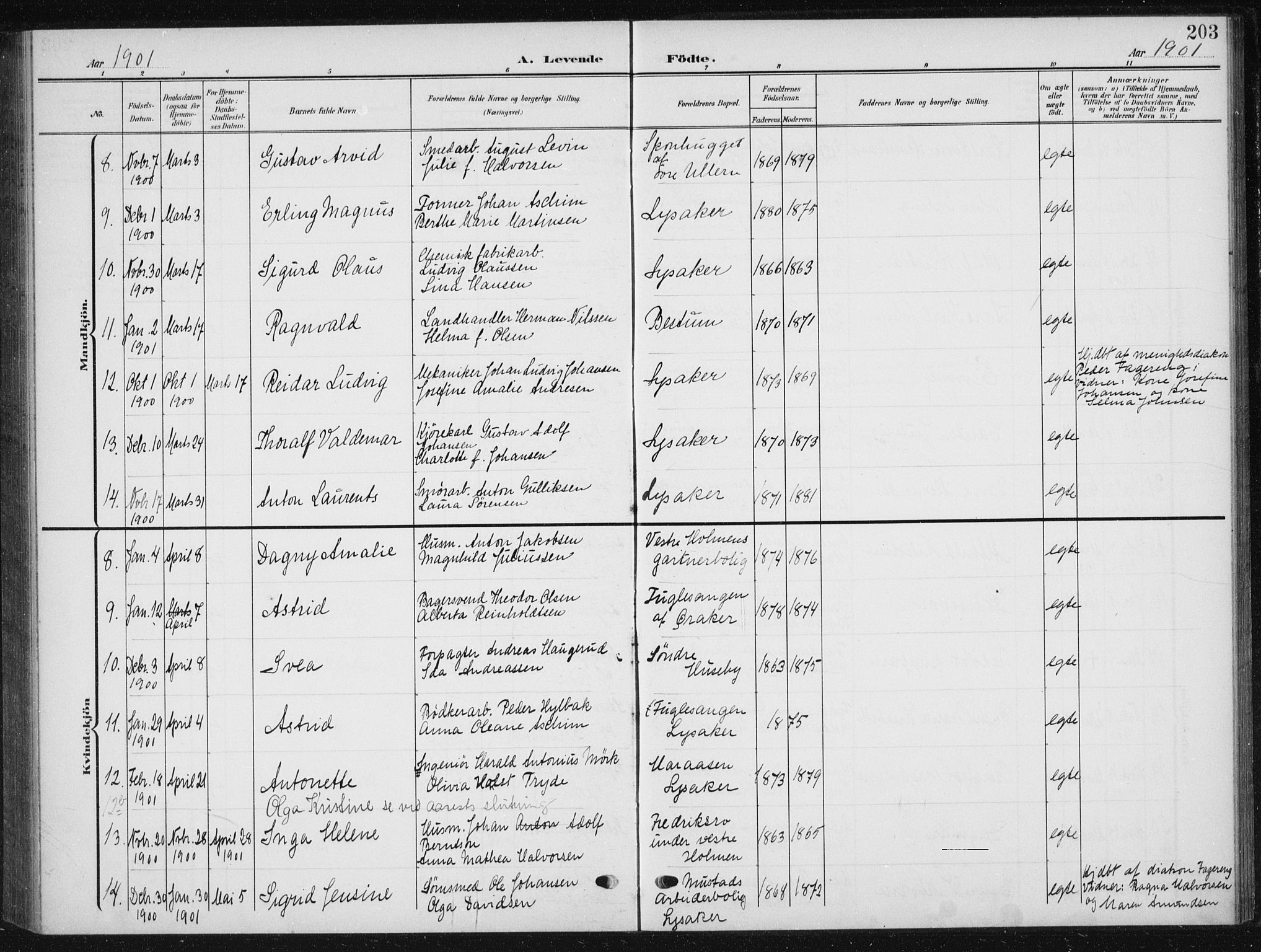 Vestre Aker prestekontor Kirkebøker, AV/SAO-A-10025/F/Fb/L0001: Parish register (official) no. II 1, 1880-1906, p. 203