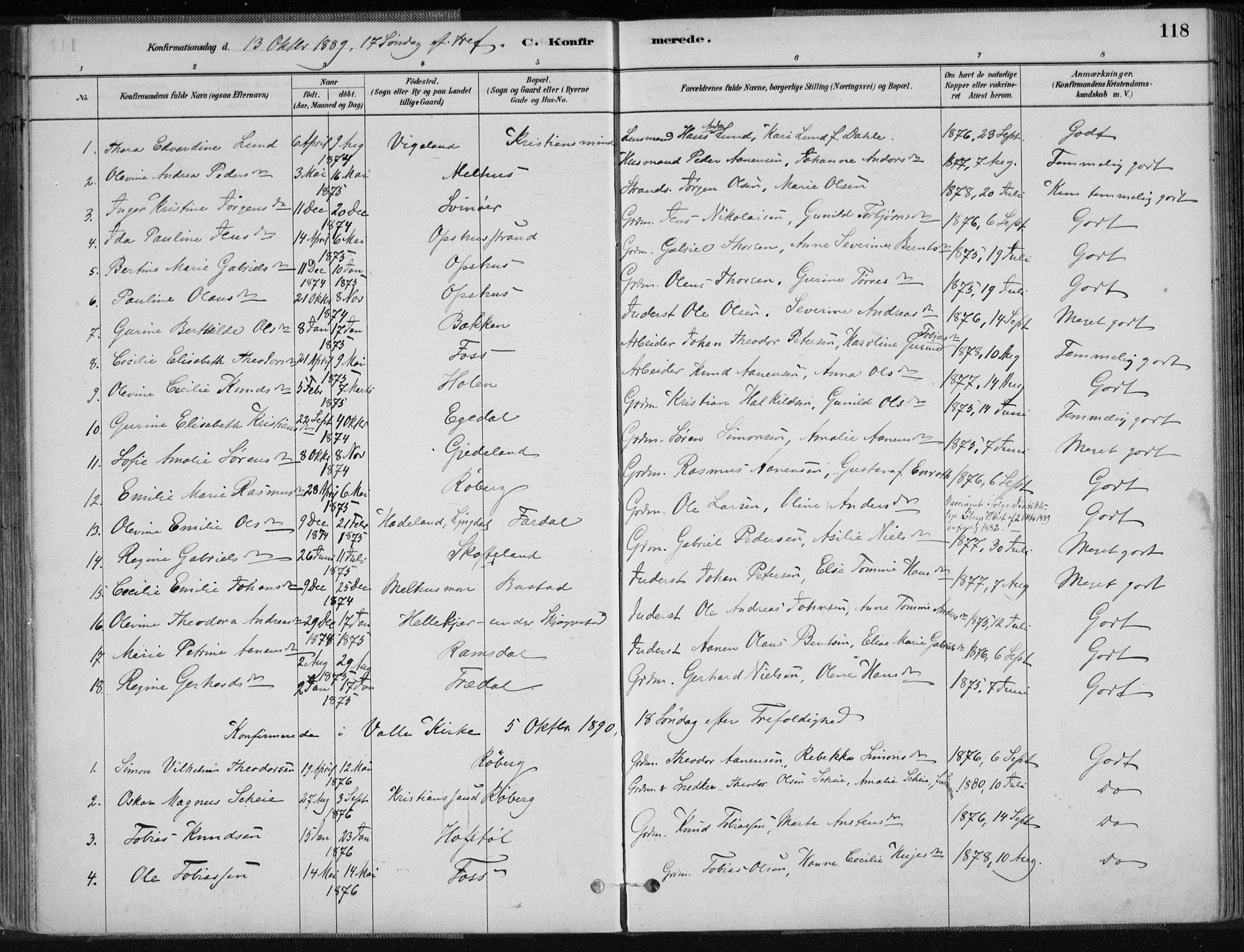 Sør-Audnedal sokneprestkontor, AV/SAK-1111-0039/F/Fa/Fab/L0009: Parish register (official) no. A 9, 1880-1895, p. 118