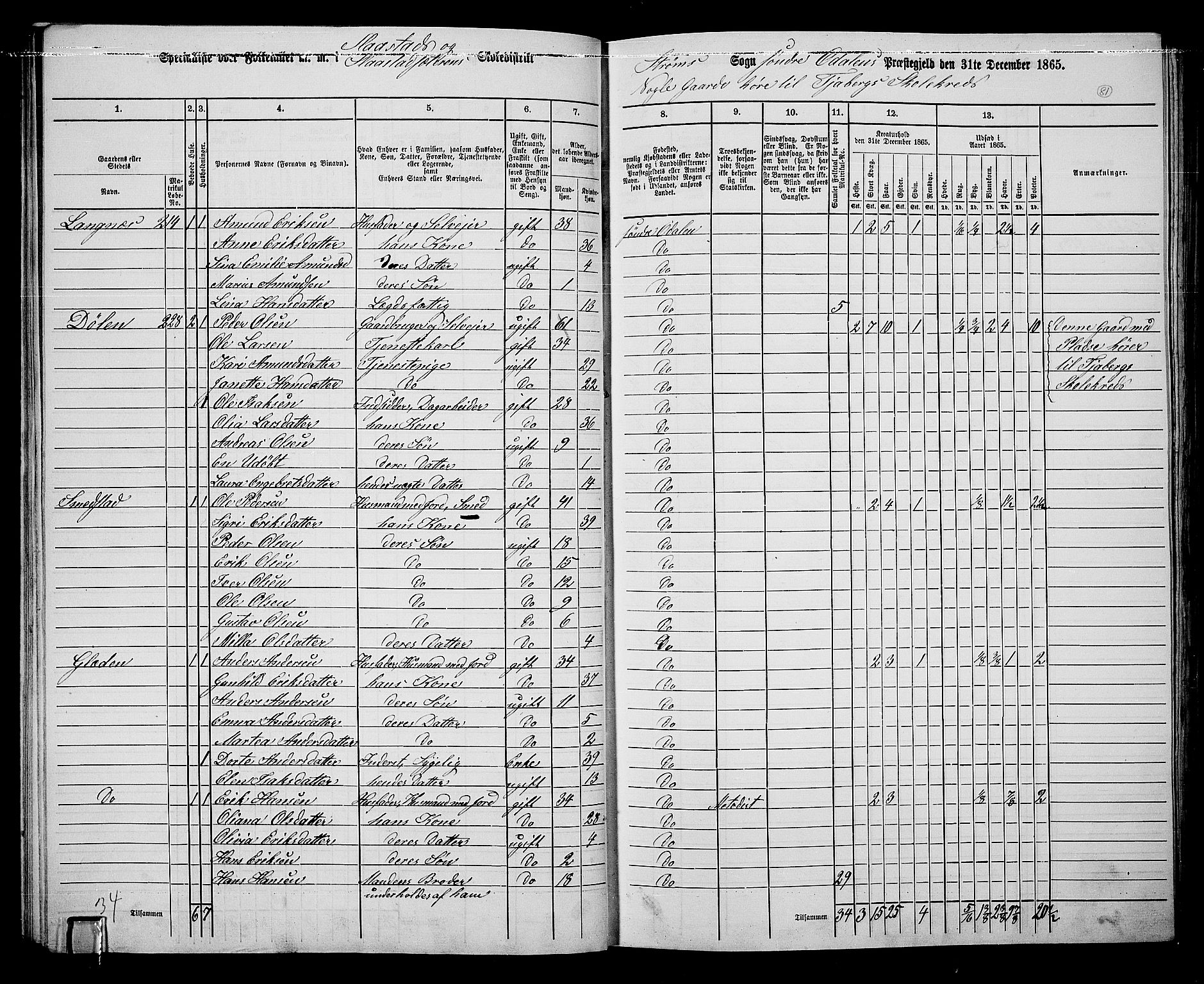 RA, 1865 census for Sør-Odal, 1865, p. 71