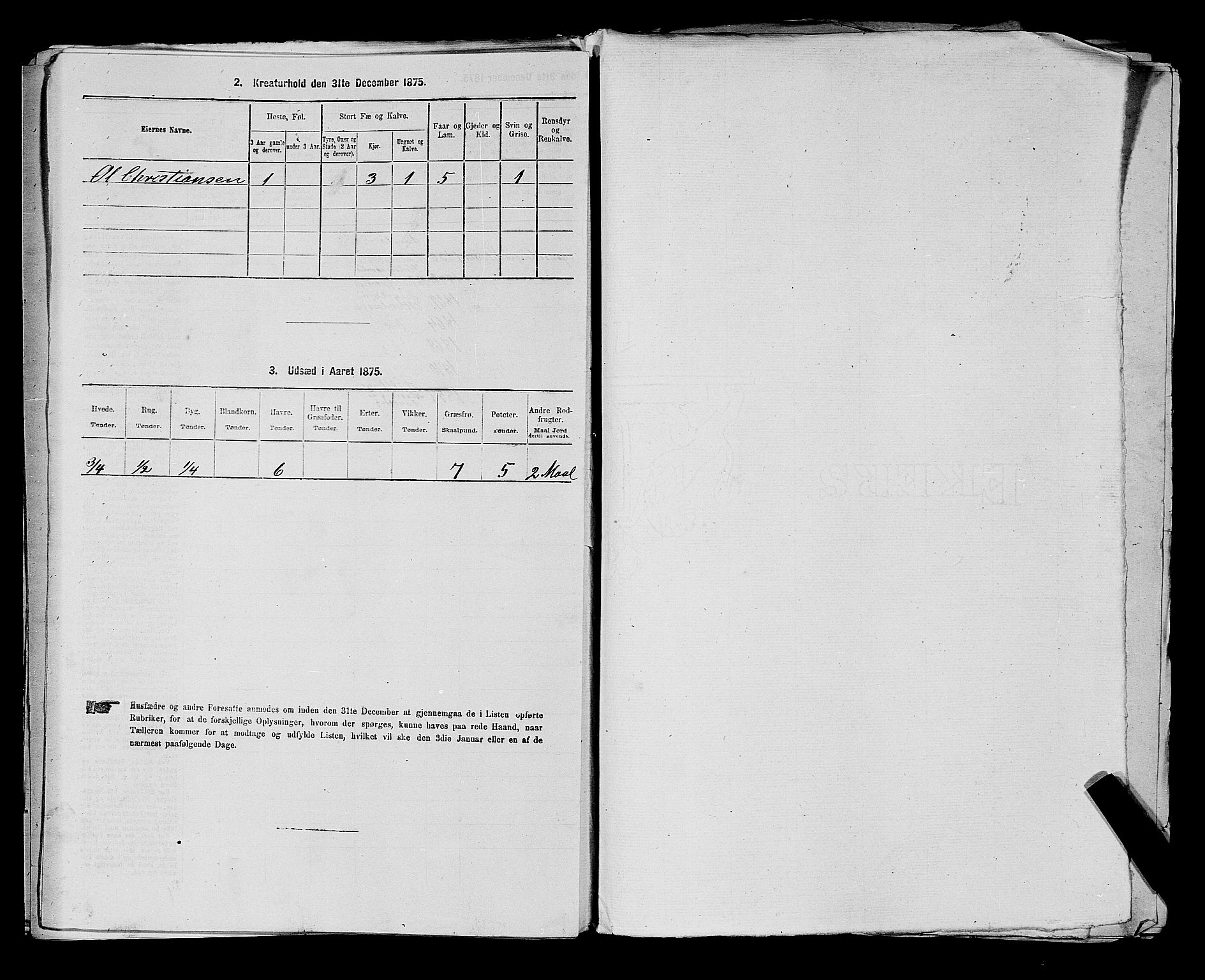 RA, 1875 census for 0111P Hvaler, 1875, p. 568