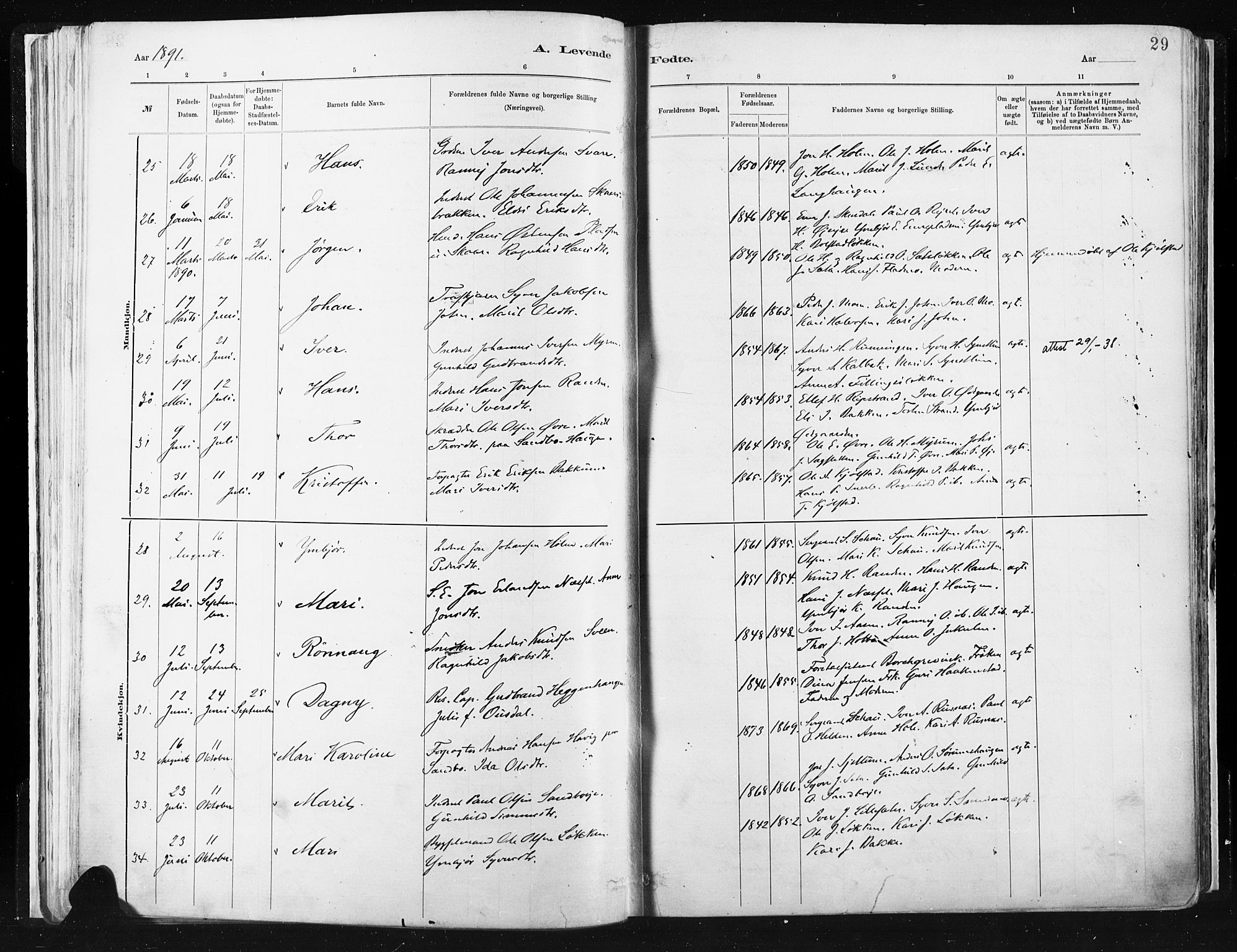 Vågå prestekontor, SAH/PREST-076/H/Ha/Haa/L0009: Parish register (official) no. 9, 1886-1904, p. 29