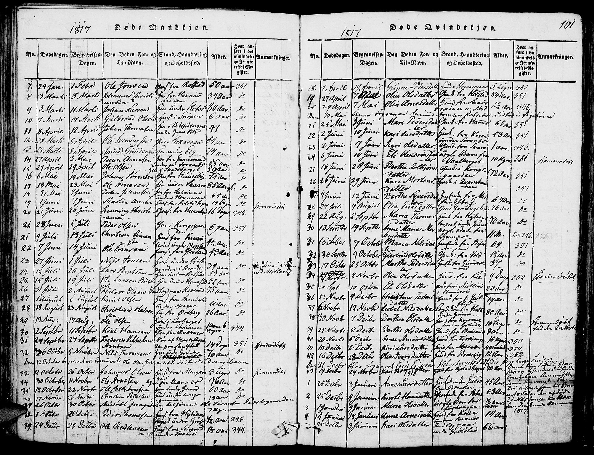 Grue prestekontor, AV/SAH-PREST-036/H/Ha/Haa/L0006: Parish register (official) no. 6, 1814-1830, p. 101