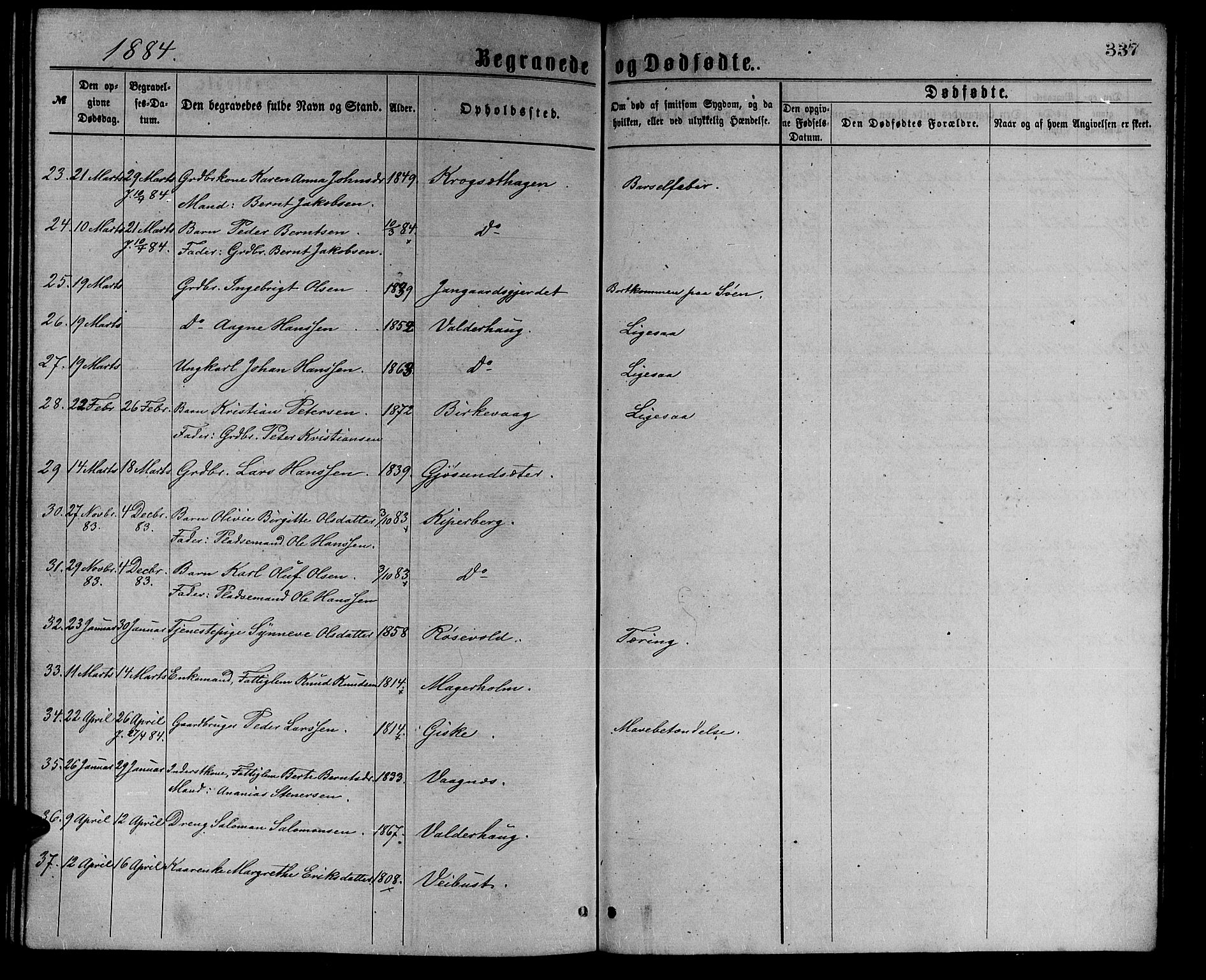 Ministerialprotokoller, klokkerbøker og fødselsregistre - Møre og Romsdal, AV/SAT-A-1454/528/L0429: Parish register (copy) no. 528C10, 1872-1886, p. 337