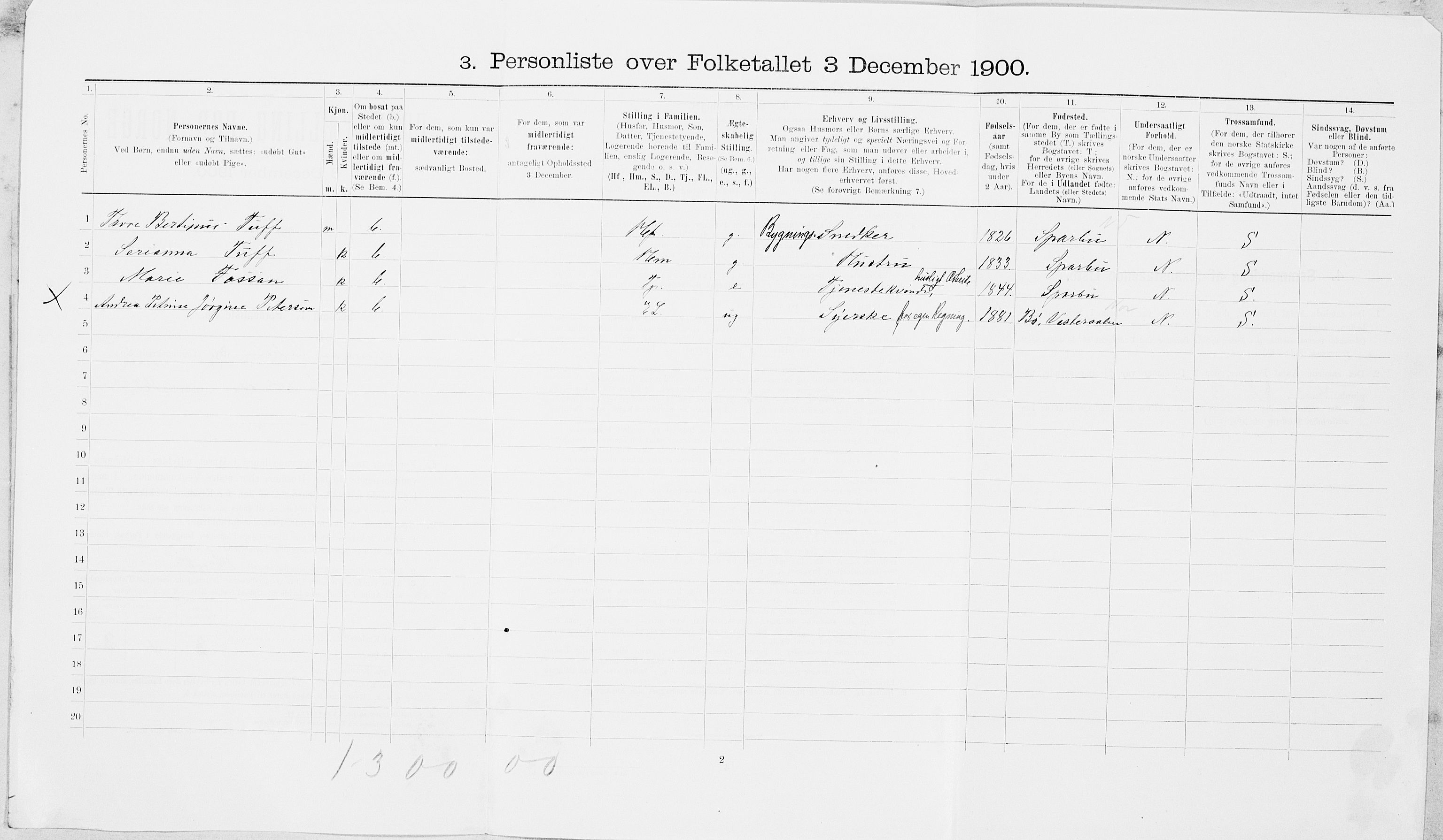 SAT, 1900 census for Steinkjer, 1900, p. 780