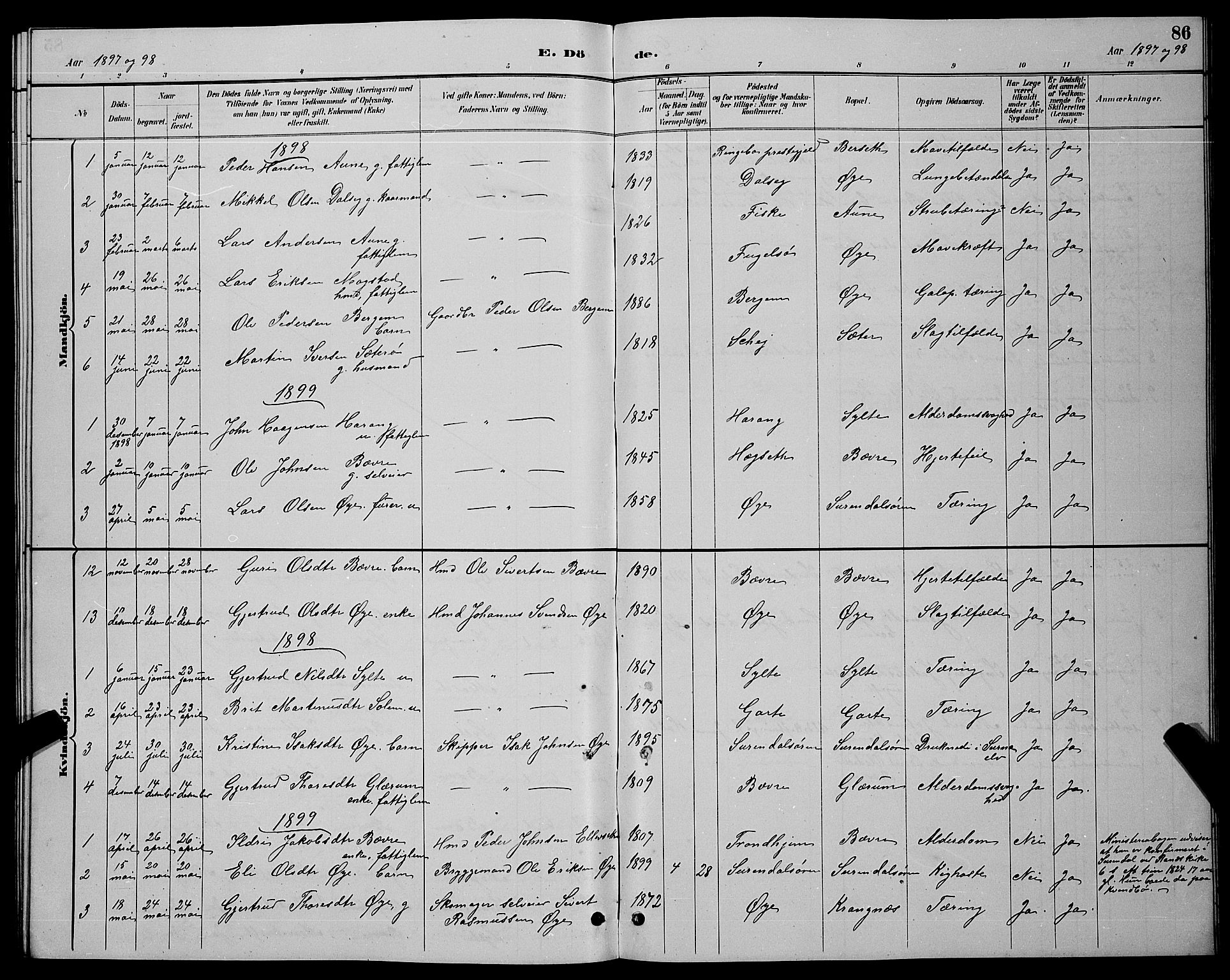 Ministerialprotokoller, klokkerbøker og fødselsregistre - Møre og Romsdal, AV/SAT-A-1454/595/L1052: Parish register (copy) no. 595C04, 1885-1900, p. 86