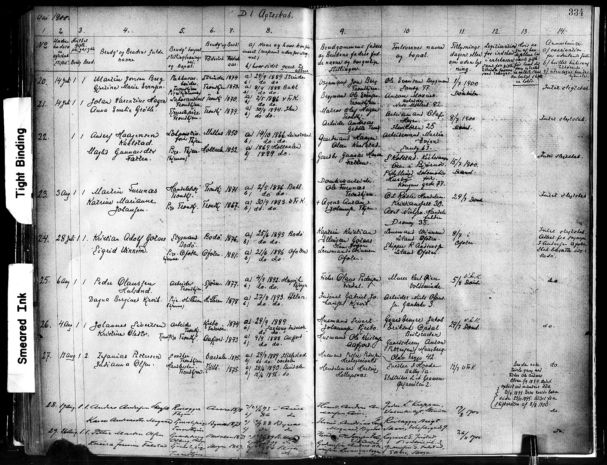 Ministerialprotokoller, klokkerbøker og fødselsregistre - Sør-Trøndelag, AV/SAT-A-1456/602/L0119: Parish register (official) no. 602A17, 1880-1901, p. 334