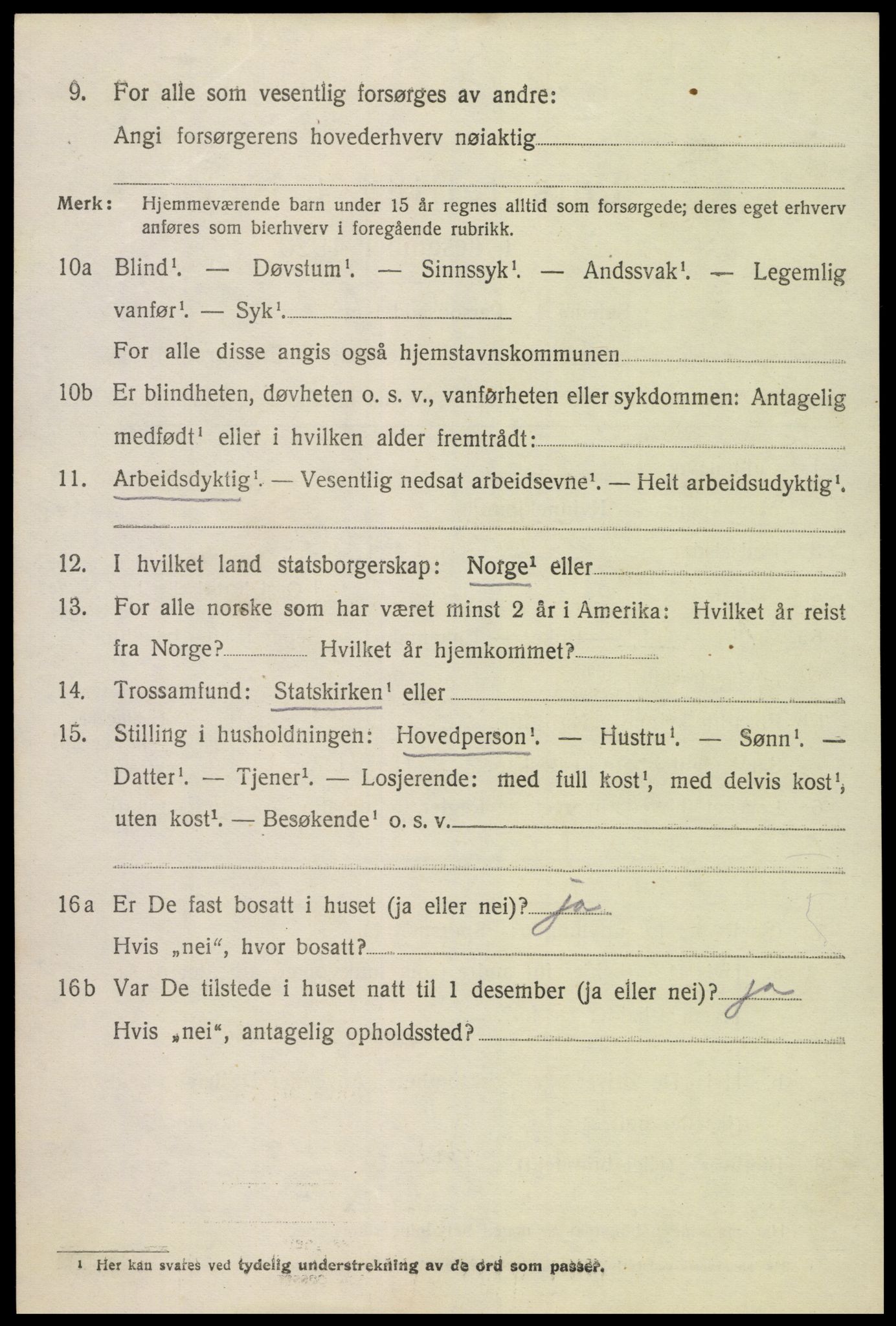 SAK, 1920 census for Hornnes, 1920, p. 3252