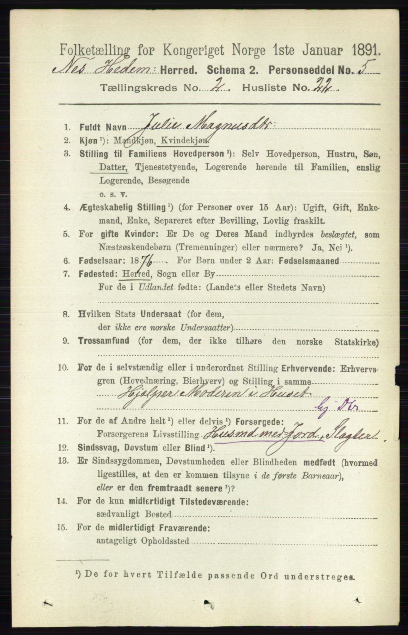 RA, 1891 census for 0411 Nes, 1891, p. 1239