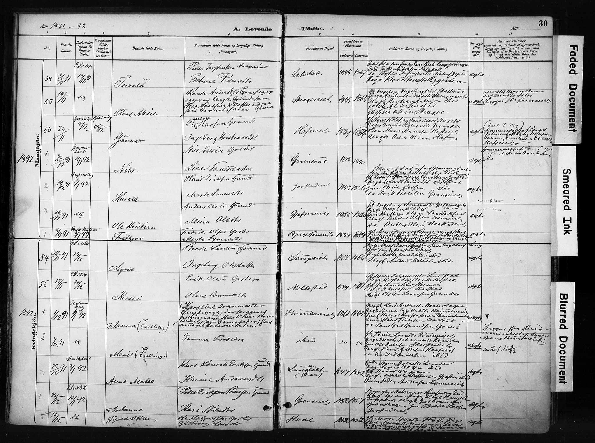 Gran prestekontor, SAH/PREST-112/H/Ha/Haa/L0017: Parish register (official) no. 17, 1889-1897, p. 30