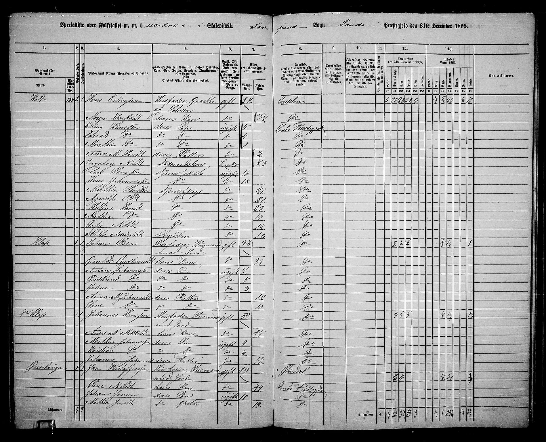 RA, 1865 census for Land, 1865, p. 177