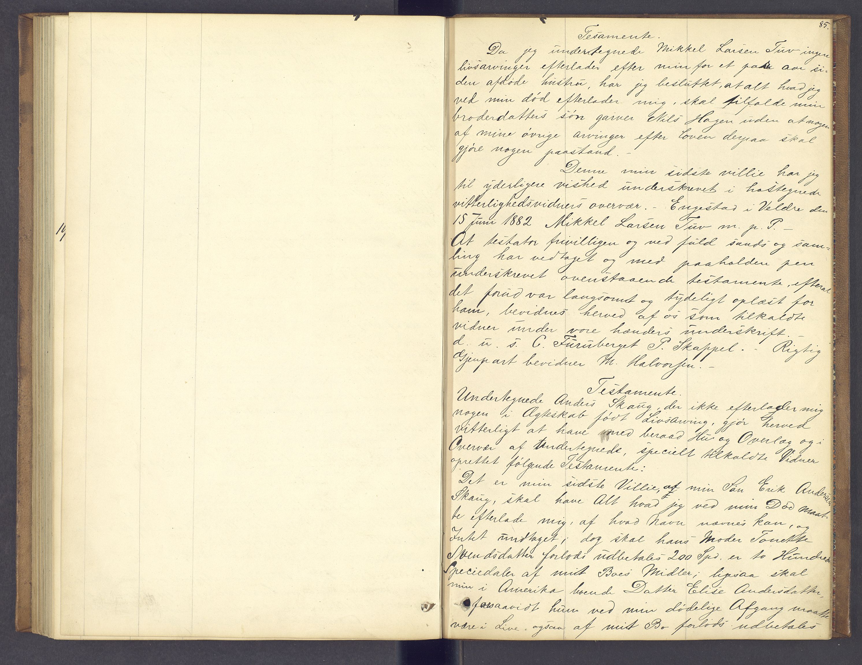 Nord-Hedmark sorenskriveri, AV/SAH-TING-012/J/Ji/L0002: Dødsfallsprotokoll, 1880-1889, p. 85