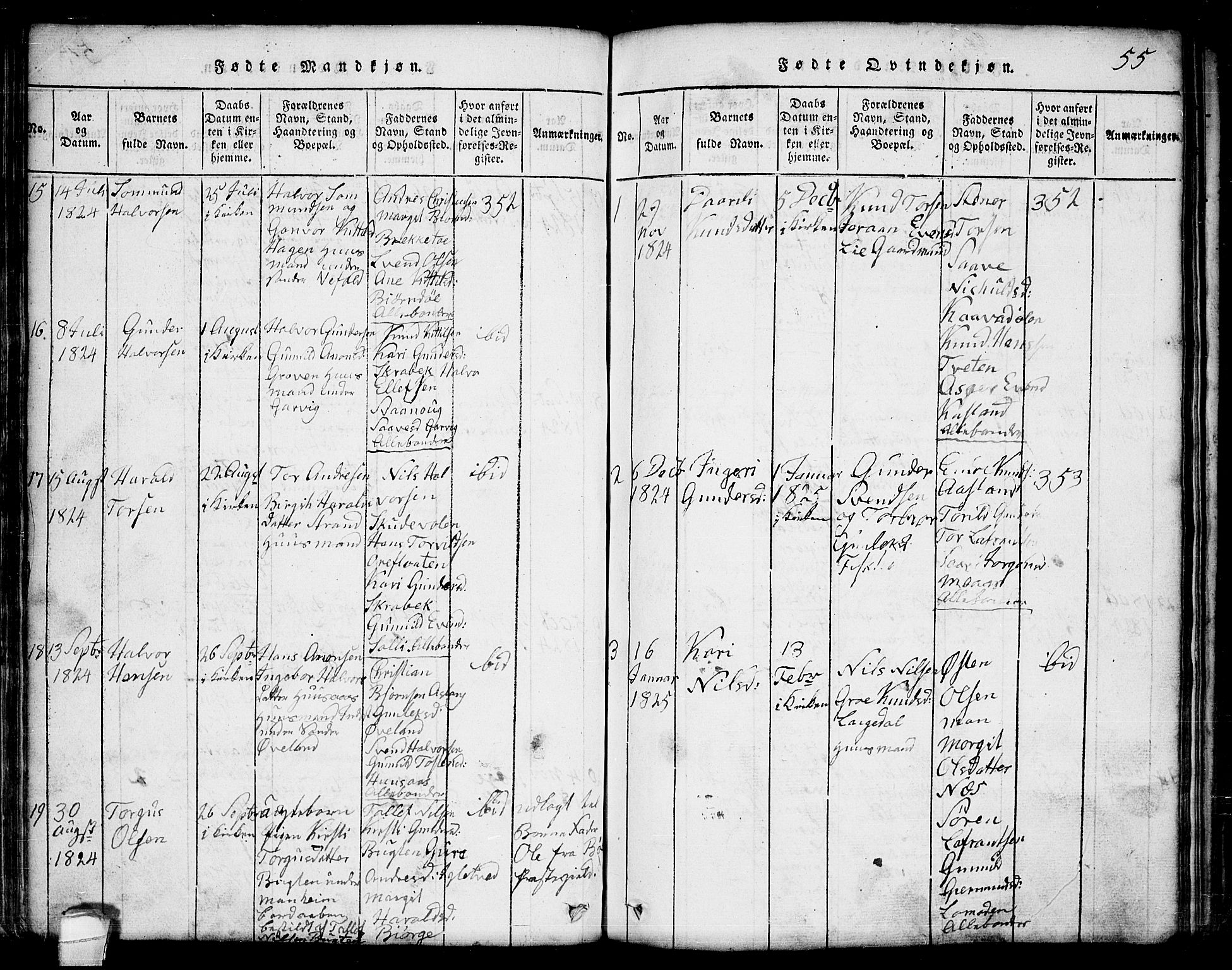 Seljord kirkebøker, AV/SAKO-A-20/G/Ga/L0001: Parish register (copy) no. I 1, 1815-1854, p. 55