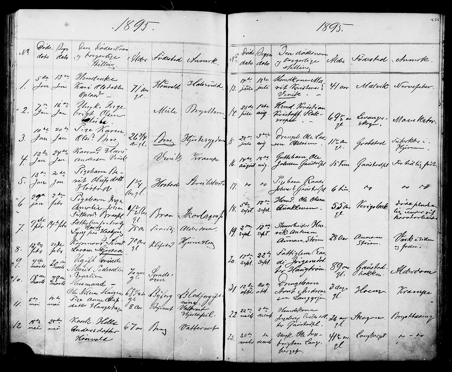 Ministerialprotokoller, klokkerbøker og fødselsregistre - Sør-Trøndelag, SAT/A-1456/612/L0387: Parish register (copy) no. 612C03, 1874-1908, p. 236