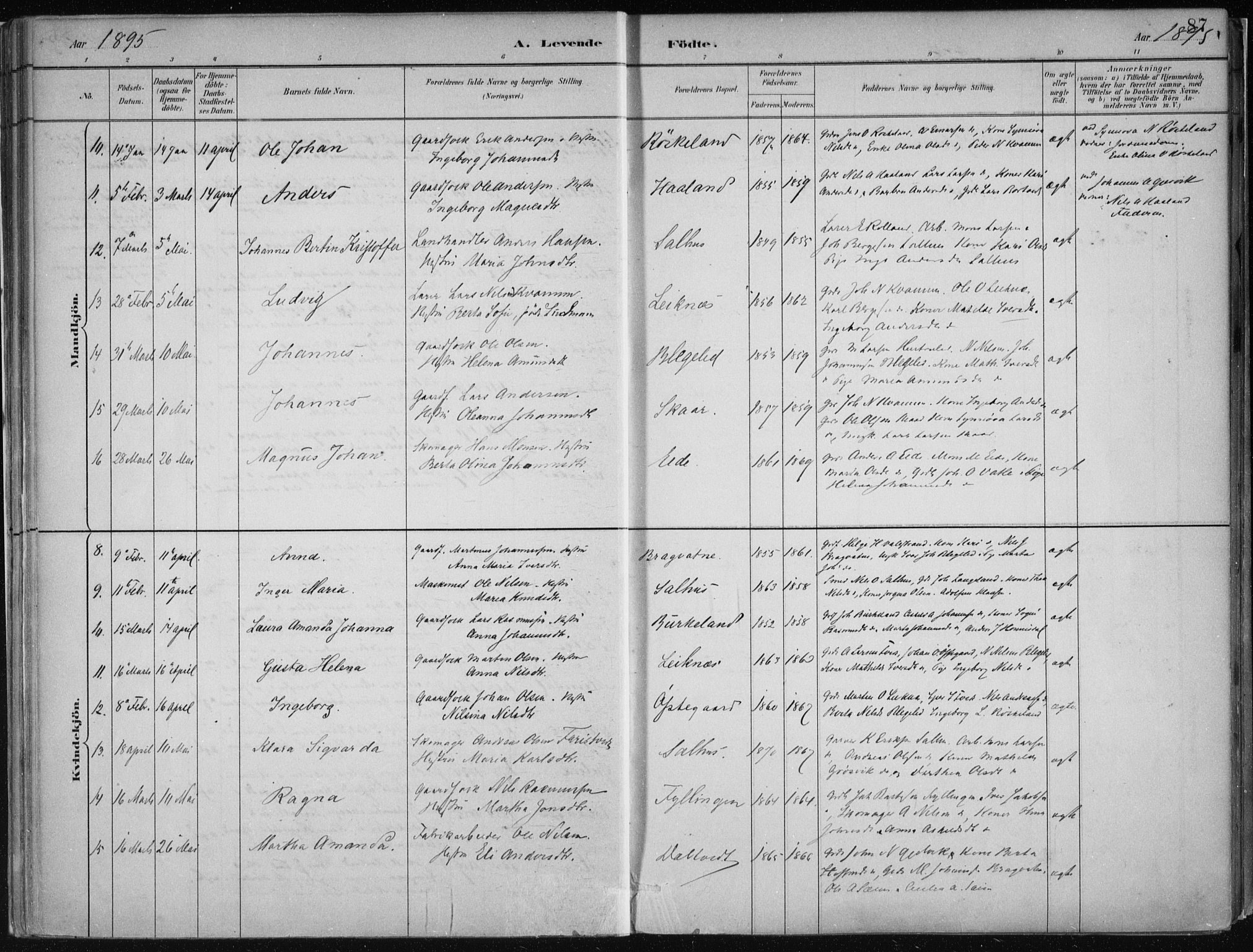 Hamre sokneprestembete, AV/SAB-A-75501/H/Ha/Haa/Haab/L0001: Parish register (official) no. B  1, 1882-1905, p. 87