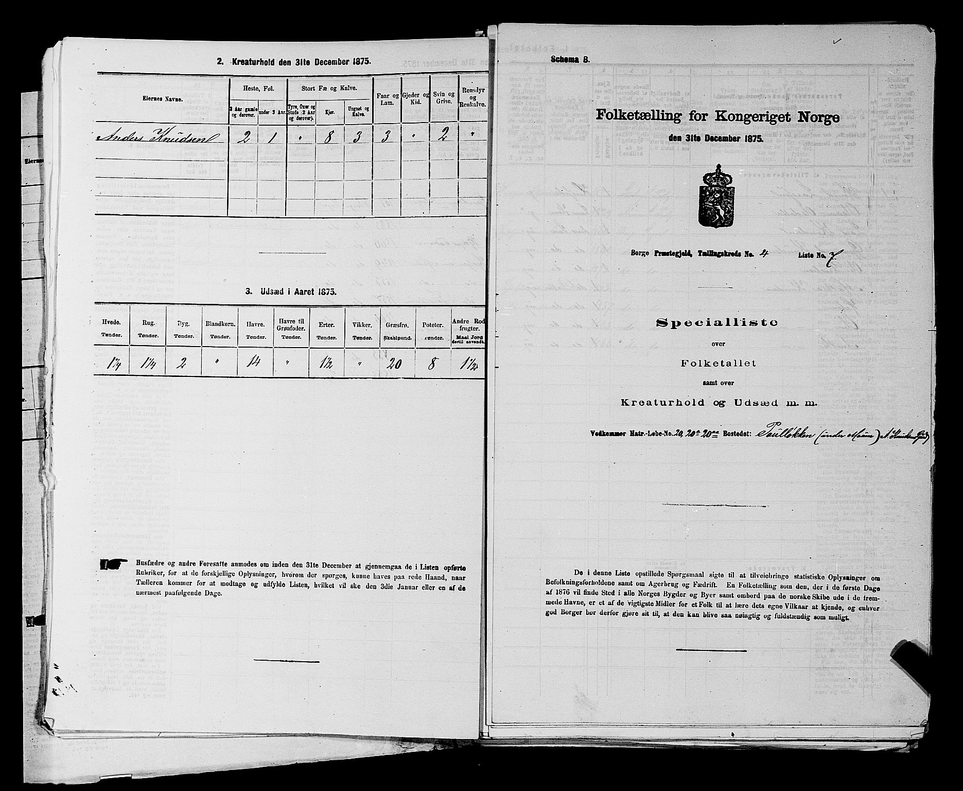 RA, 1875 census for 0113P Borge, 1875, p. 530