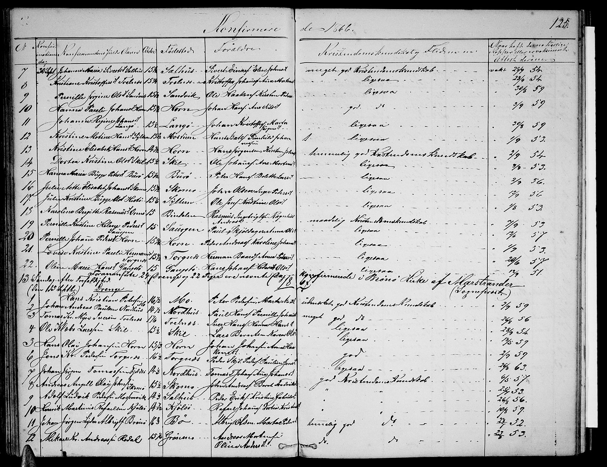 Ministerialprotokoller, klokkerbøker og fødselsregistre - Nordland, AV/SAT-A-1459/813/L0212: Parish register (copy) no. 813C04, 1864-1886, p. 125