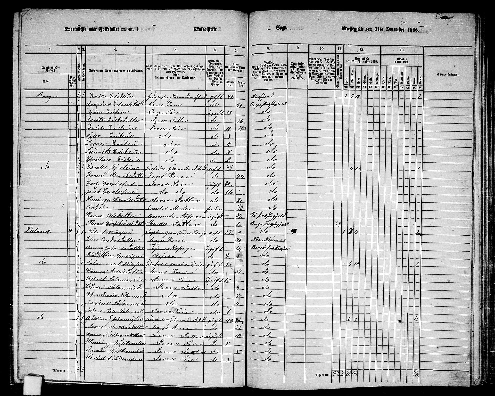 RA, 1865 census for Borge, 1865, p. 26