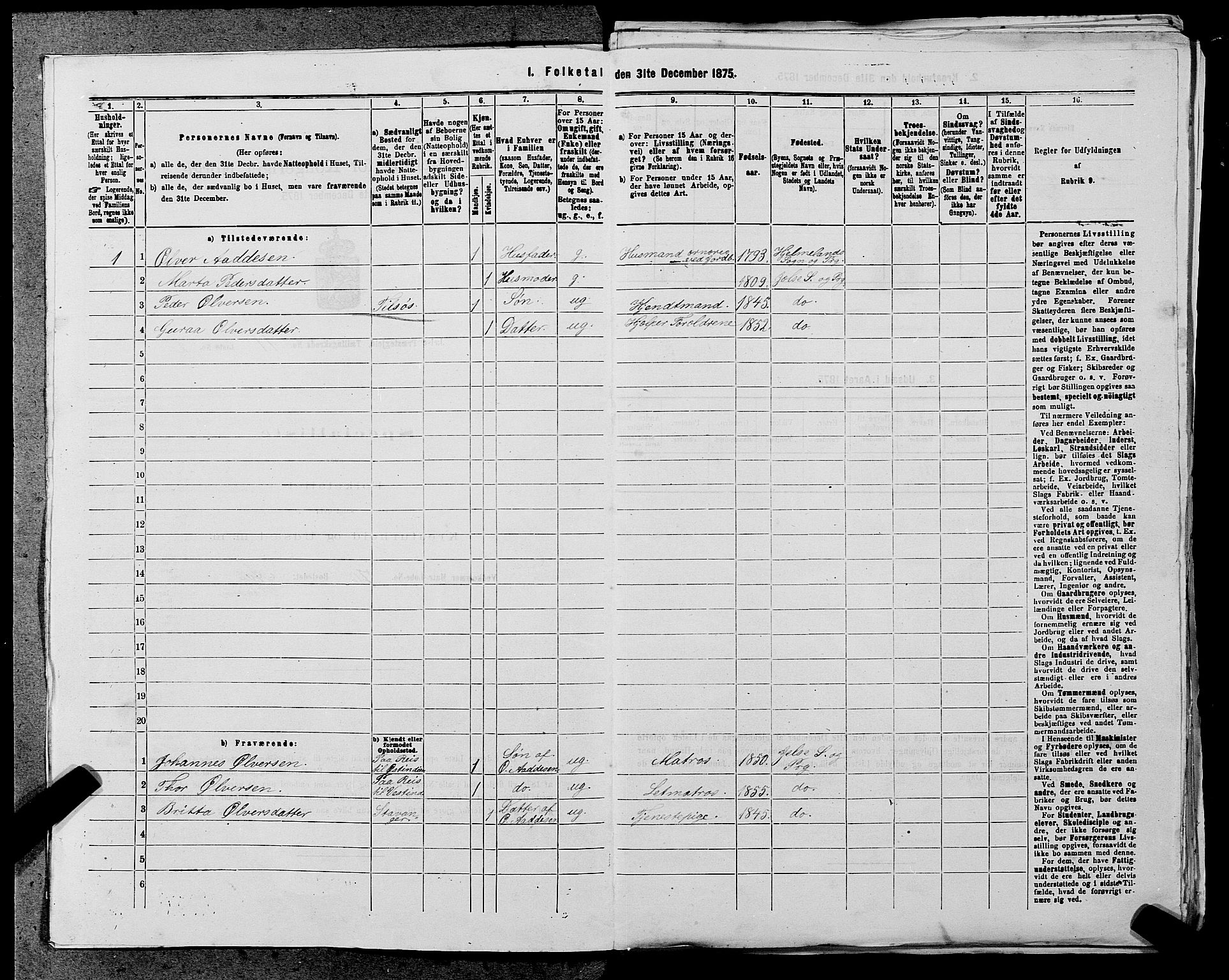 SAST, 1875 census for 1138P Jelsa, 1875, p. 977