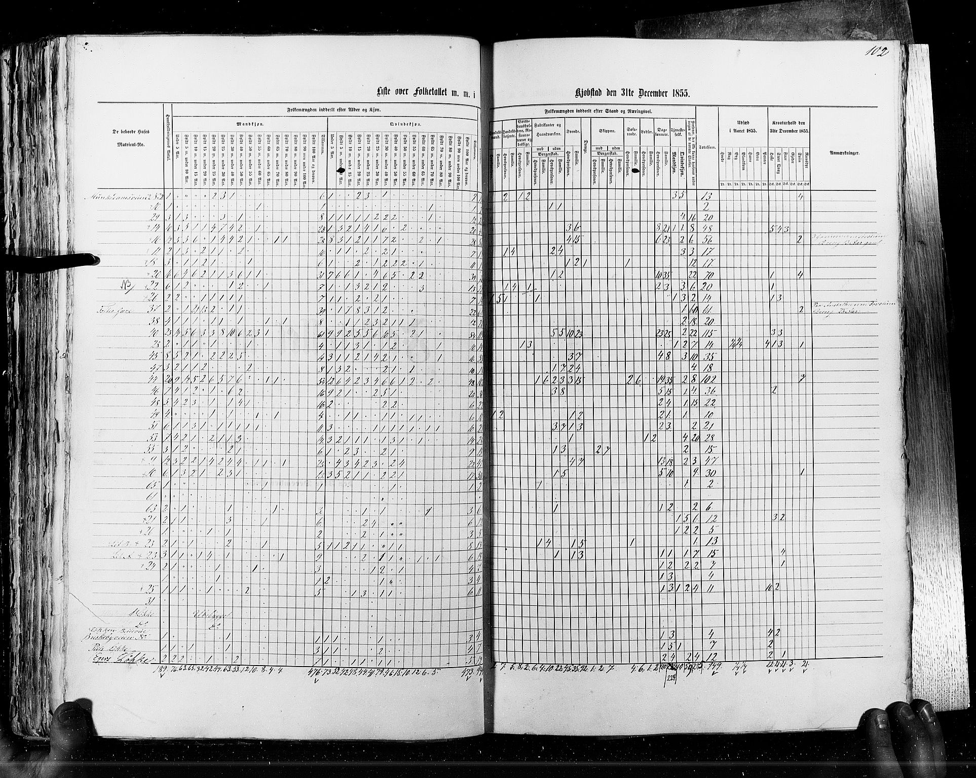 RA, Census 1855, vol. 7: Fredrikshald-Kragerø, 1855, p. 102