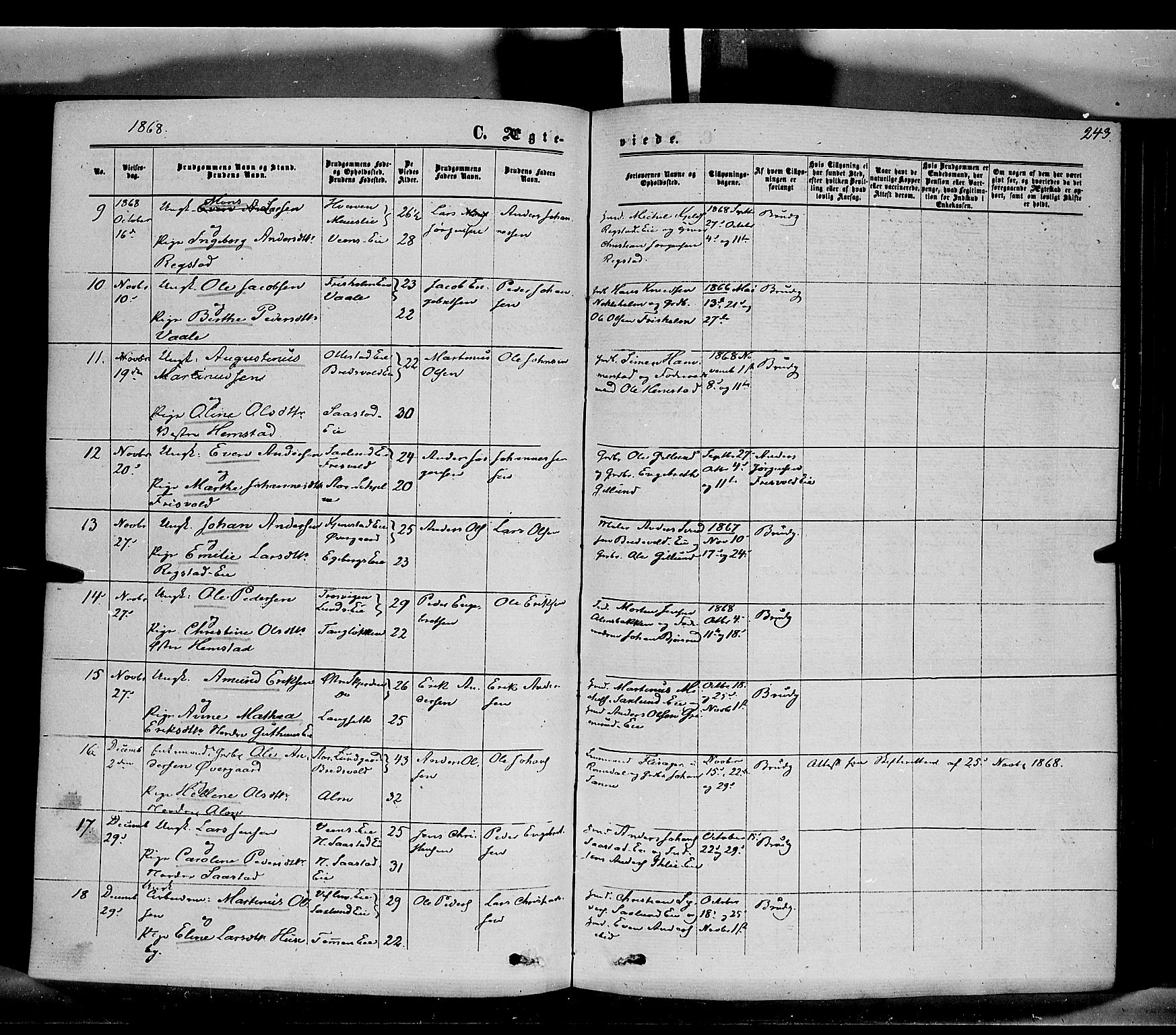 Stange prestekontor, SAH/PREST-002/K/L0013: Parish register (official) no. 13, 1862-1879, p. 243