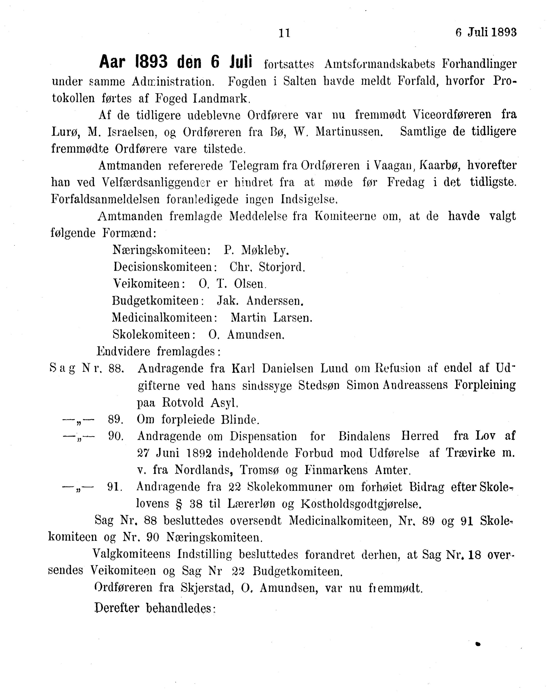 Nordland Fylkeskommune. Fylkestinget, AIN/NFK-17/176/A/Ac/L0016: Fylkestingsforhandlinger 1891-1893, 1891-1893, p. 11