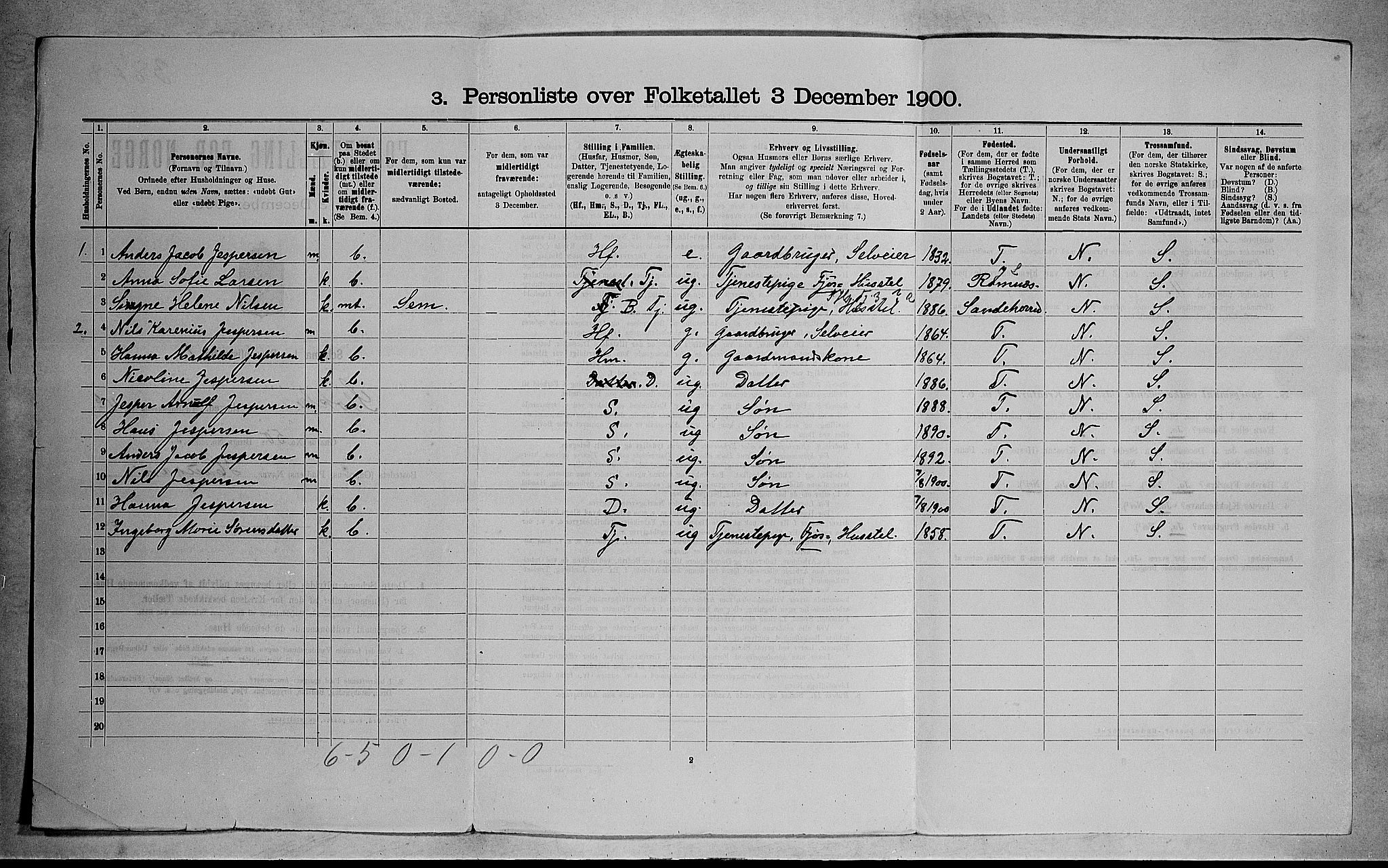 RA, 1900 census for Stokke, 1900, p. 894