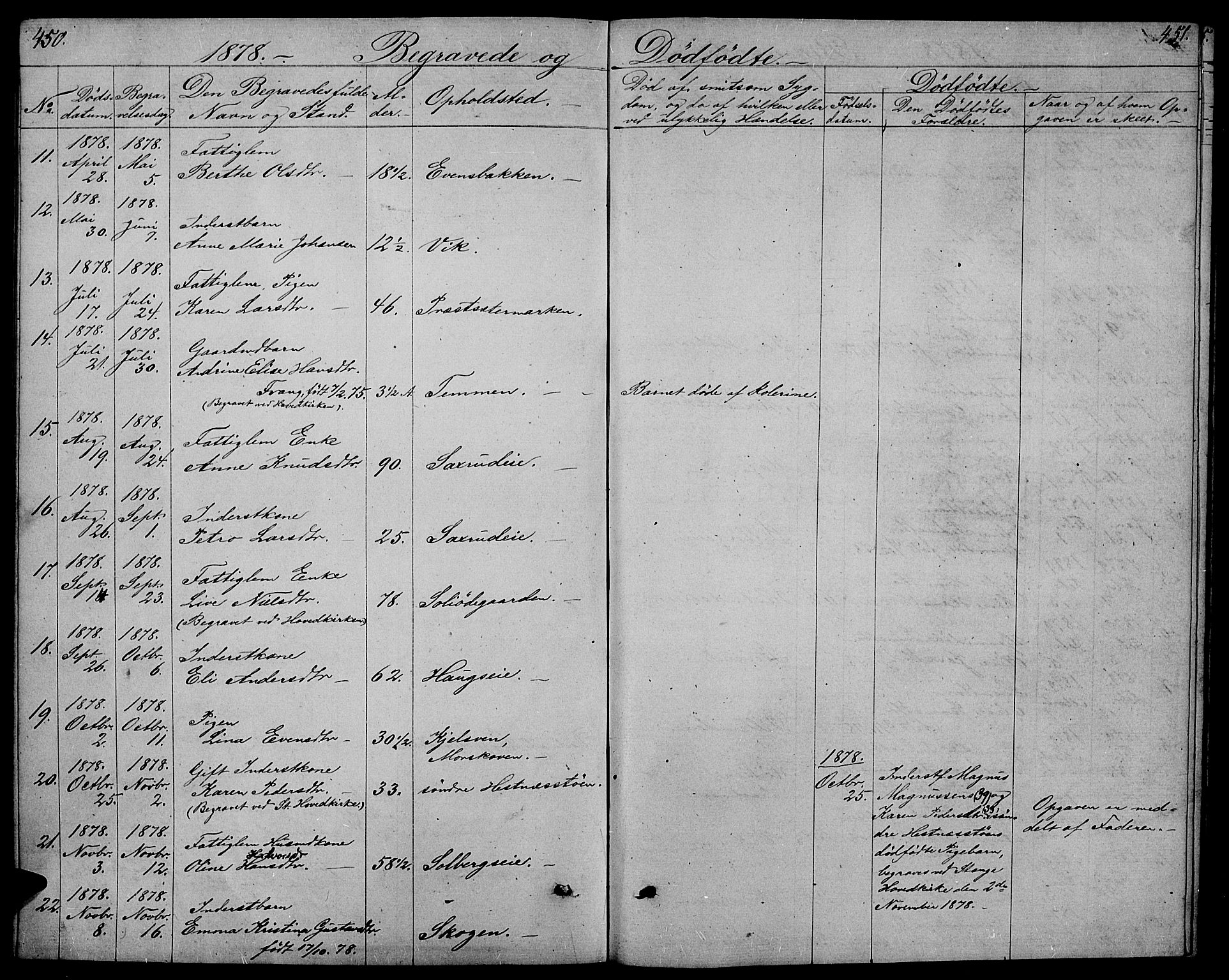 Stange prestekontor, AV/SAH-PREST-002/L/L0005: Parish register (copy) no. 5, 1861-1881, p. 450-451