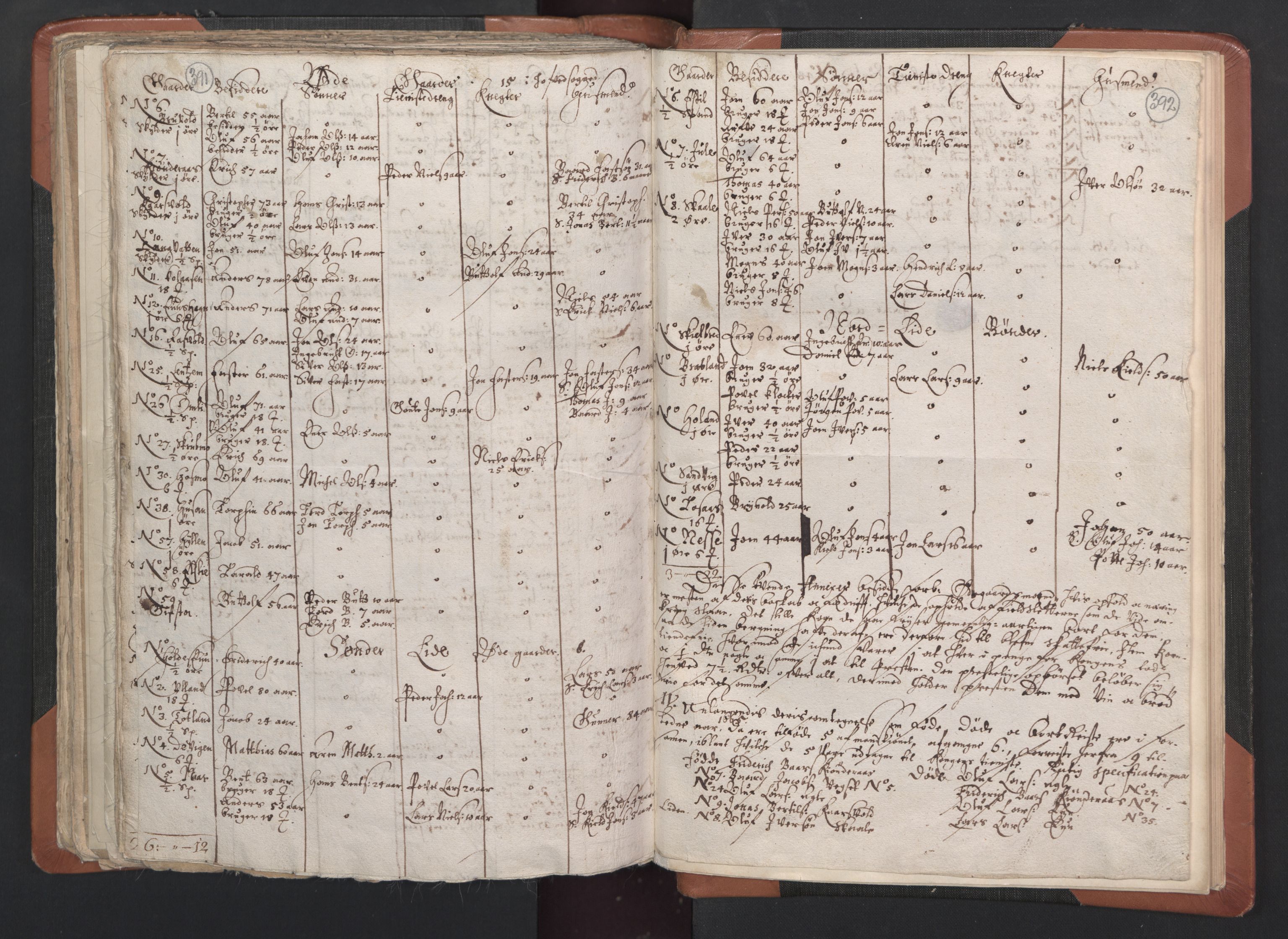 RA, Vicar's Census 1664-1666, no. 33: Innherad deanery, 1664-1666, p. 391-392