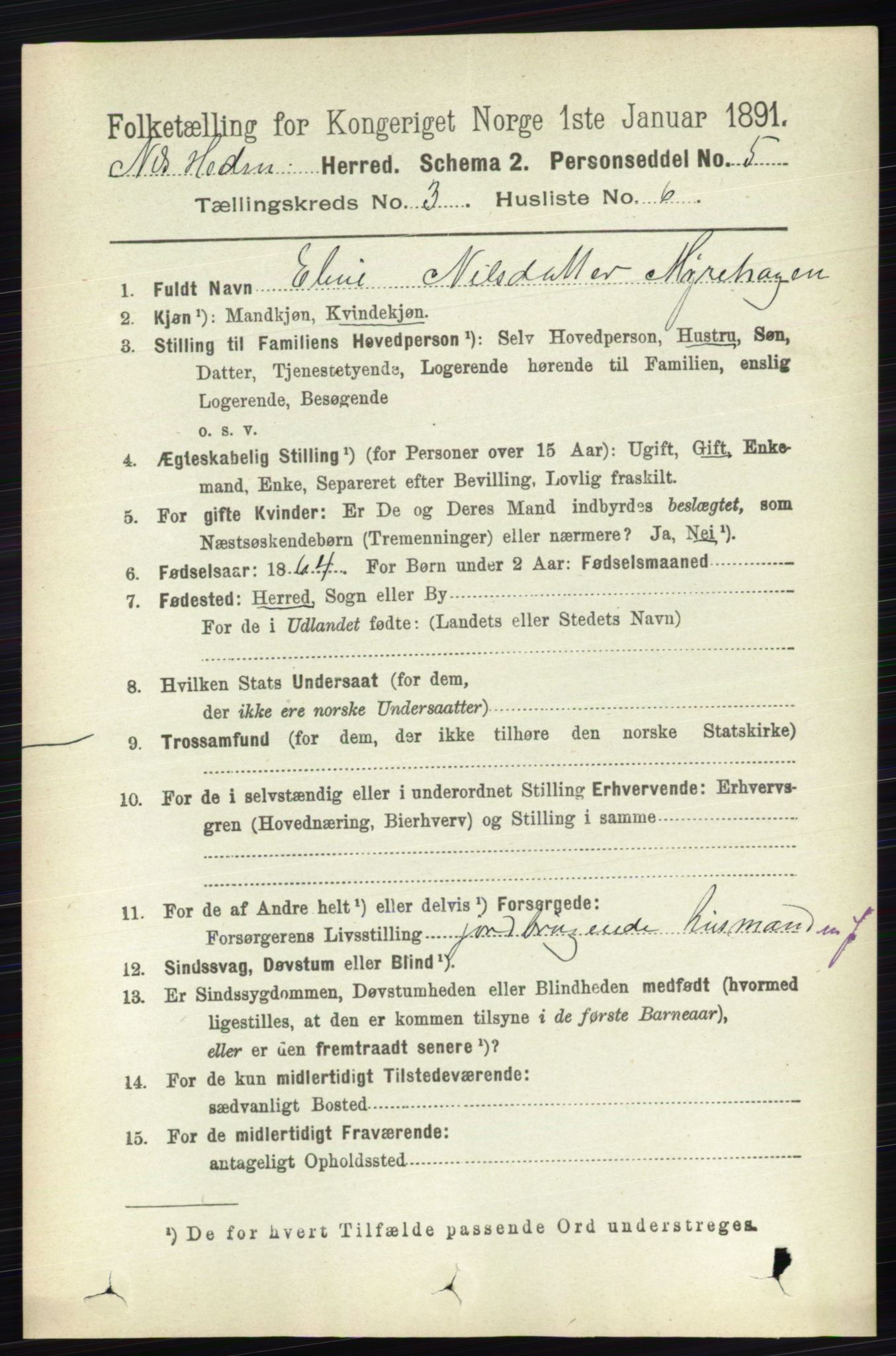 RA, 1891 census for 0411 Nes, 1891, p. 1626