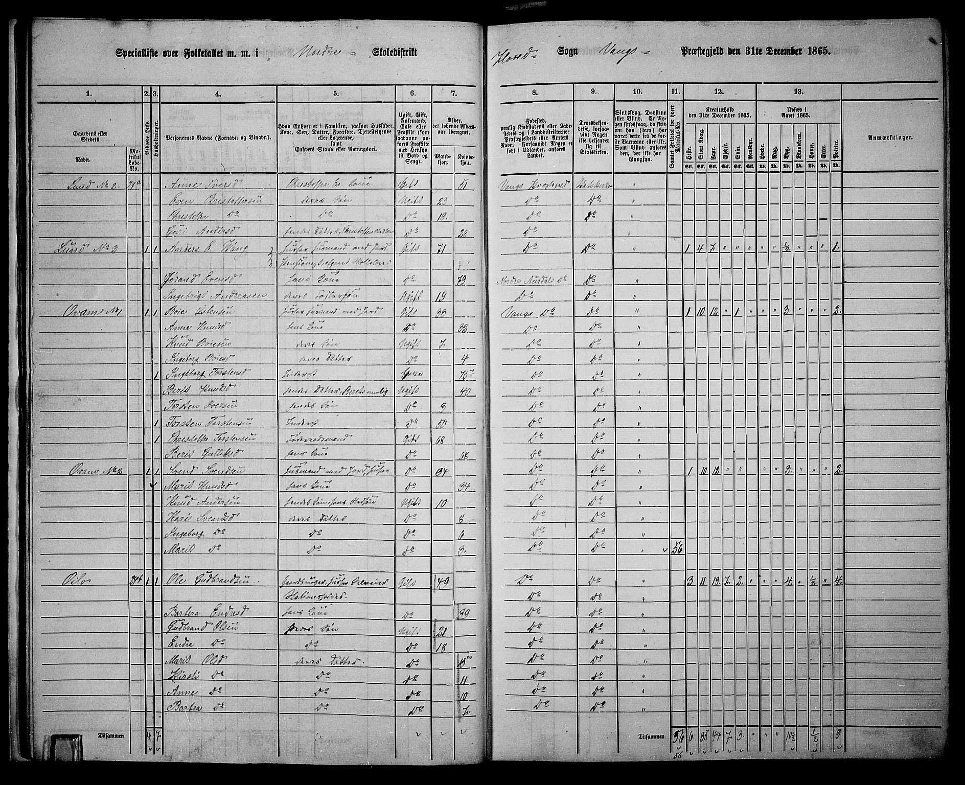 RA, 1865 census for Vang, 1865, p. 25