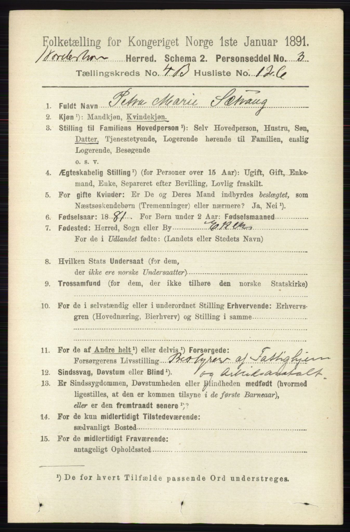 RA, 1891 census for 0613 Norderhov, 1891, p. 3396
