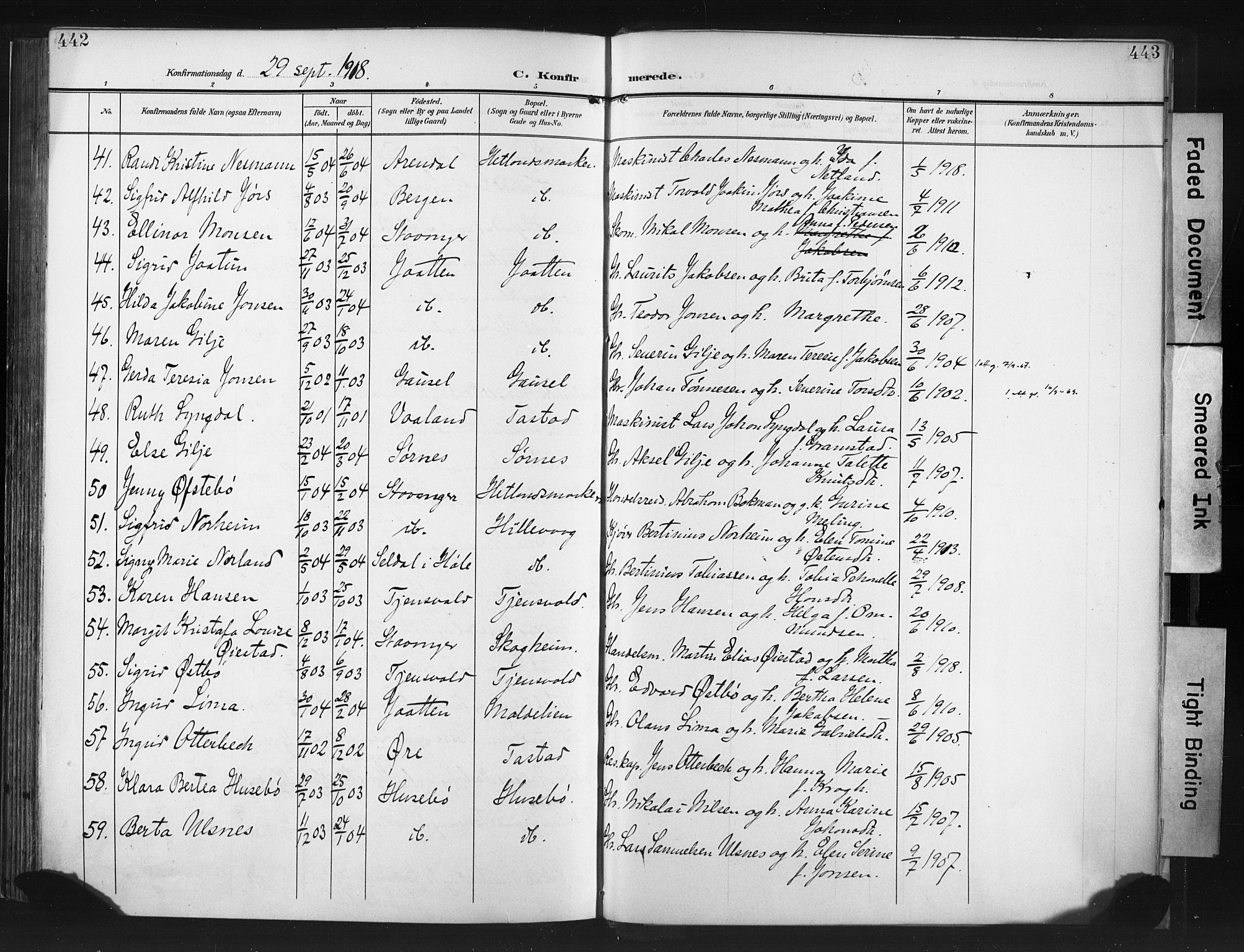 Hetland sokneprestkontor, AV/SAST-A-101826/30/30BA/L0013: Parish register (official) no. A 13, 1904-1918, p. 442-443