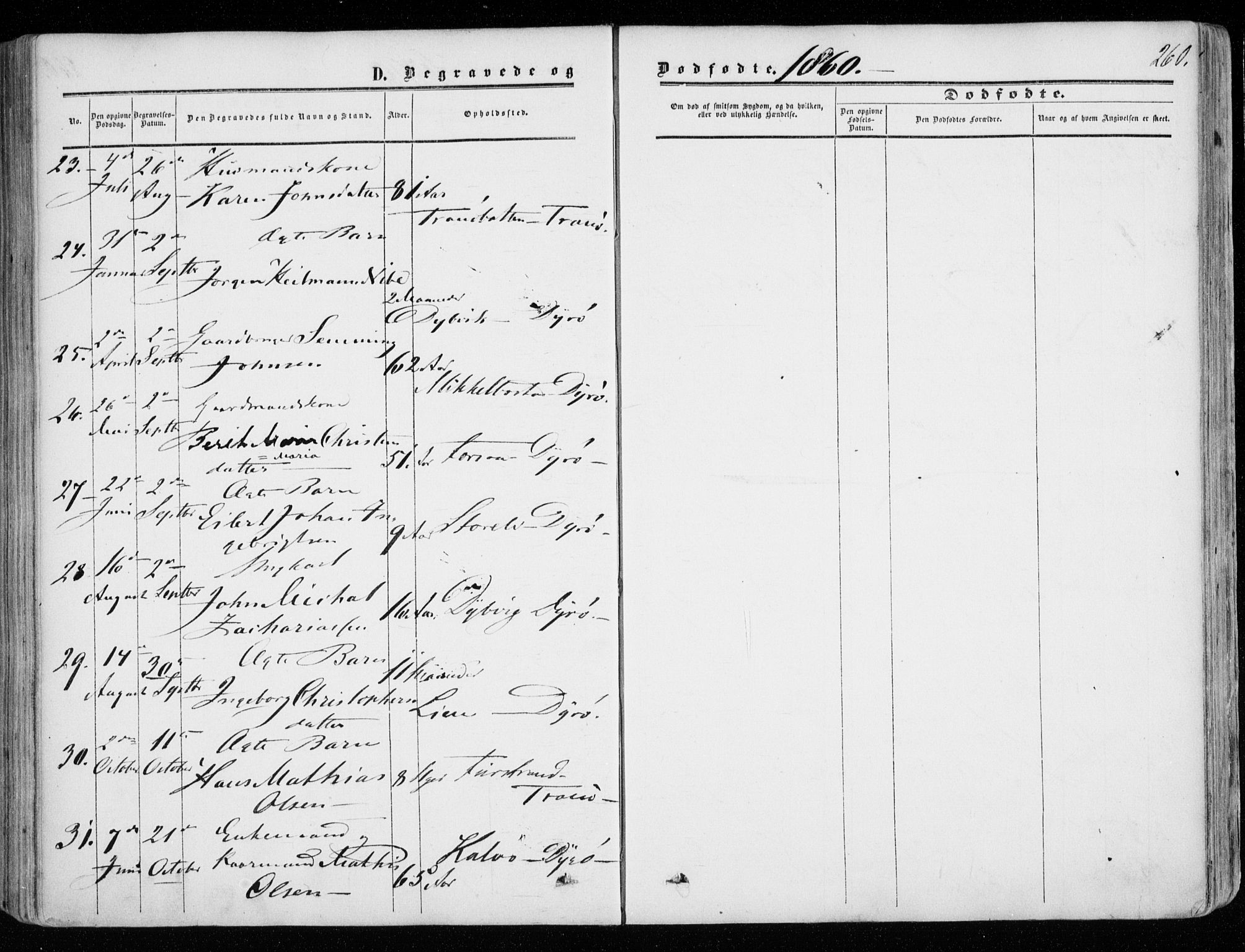 Tranøy sokneprestkontor, SATØ/S-1313/I/Ia/Iaa/L0007kirke: Parish register (official) no. 7, 1856-1866, p. 260