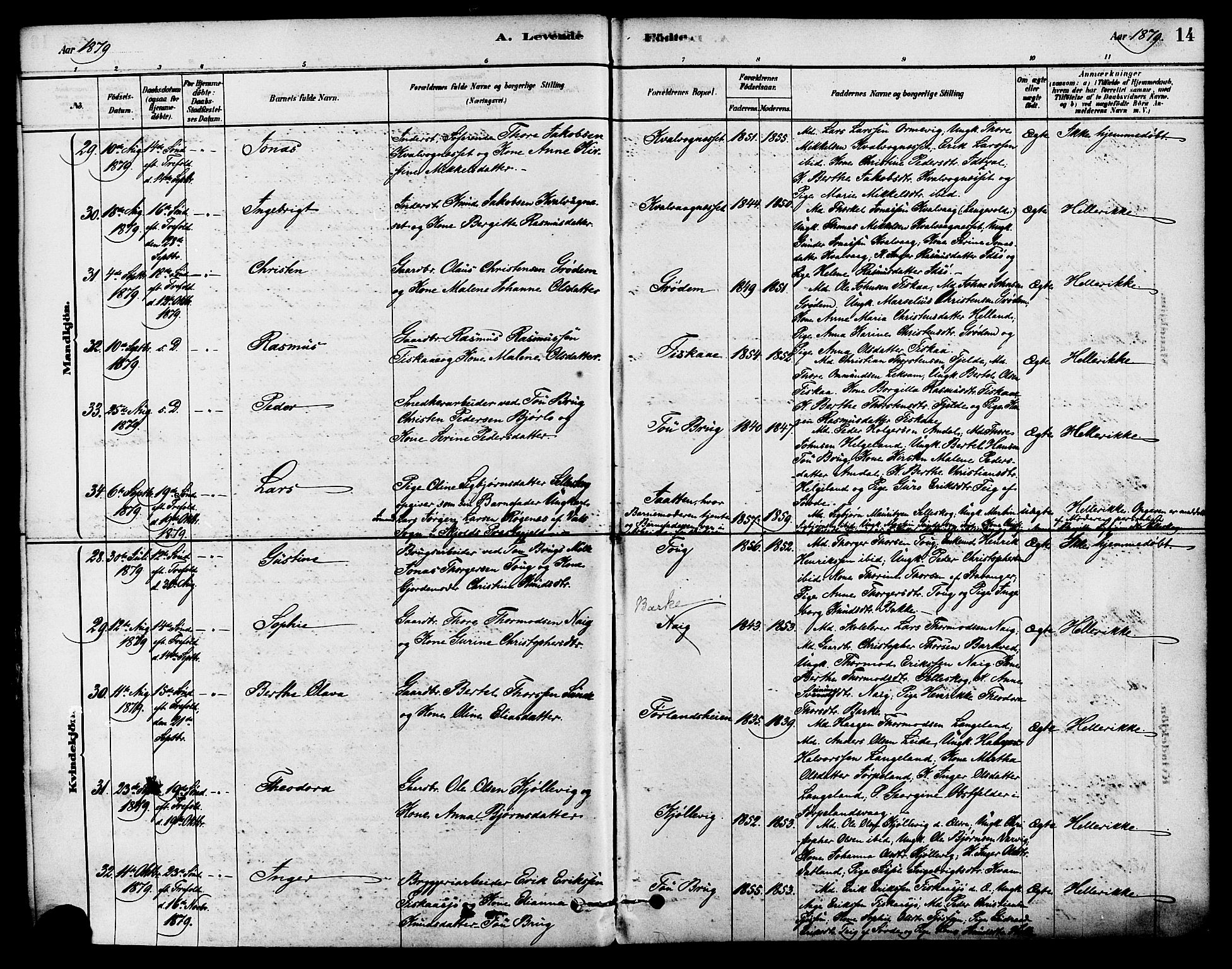 Strand sokneprestkontor, AV/SAST-A-101828/H/Ha/Haa/L0009: Parish register (official) no. A 9, 1877-1908, p. 14