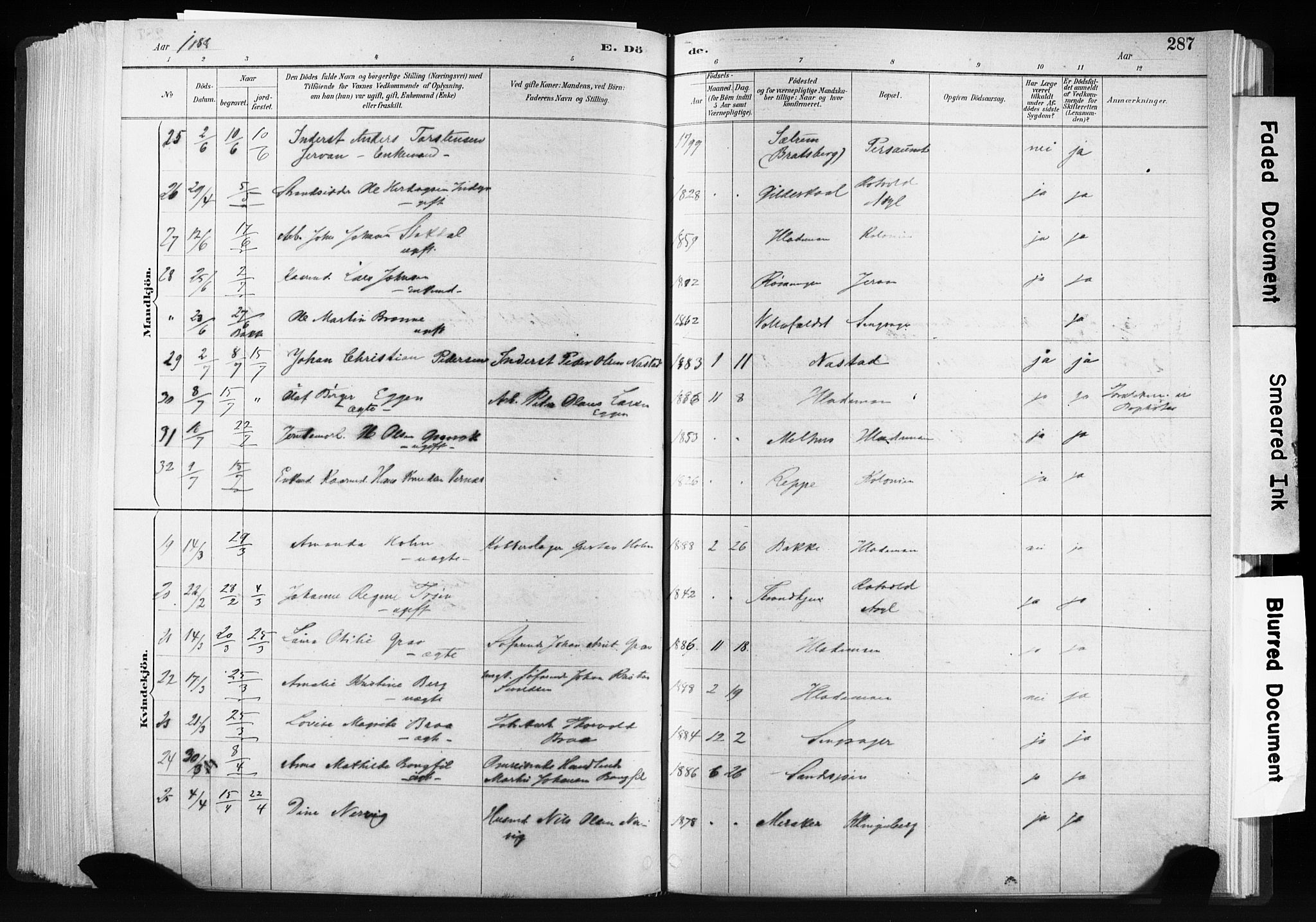 Ministerialprotokoller, klokkerbøker og fødselsregistre - Sør-Trøndelag, SAT/A-1456/606/L0300: Parish register (official) no. 606A15, 1886-1893, p. 287